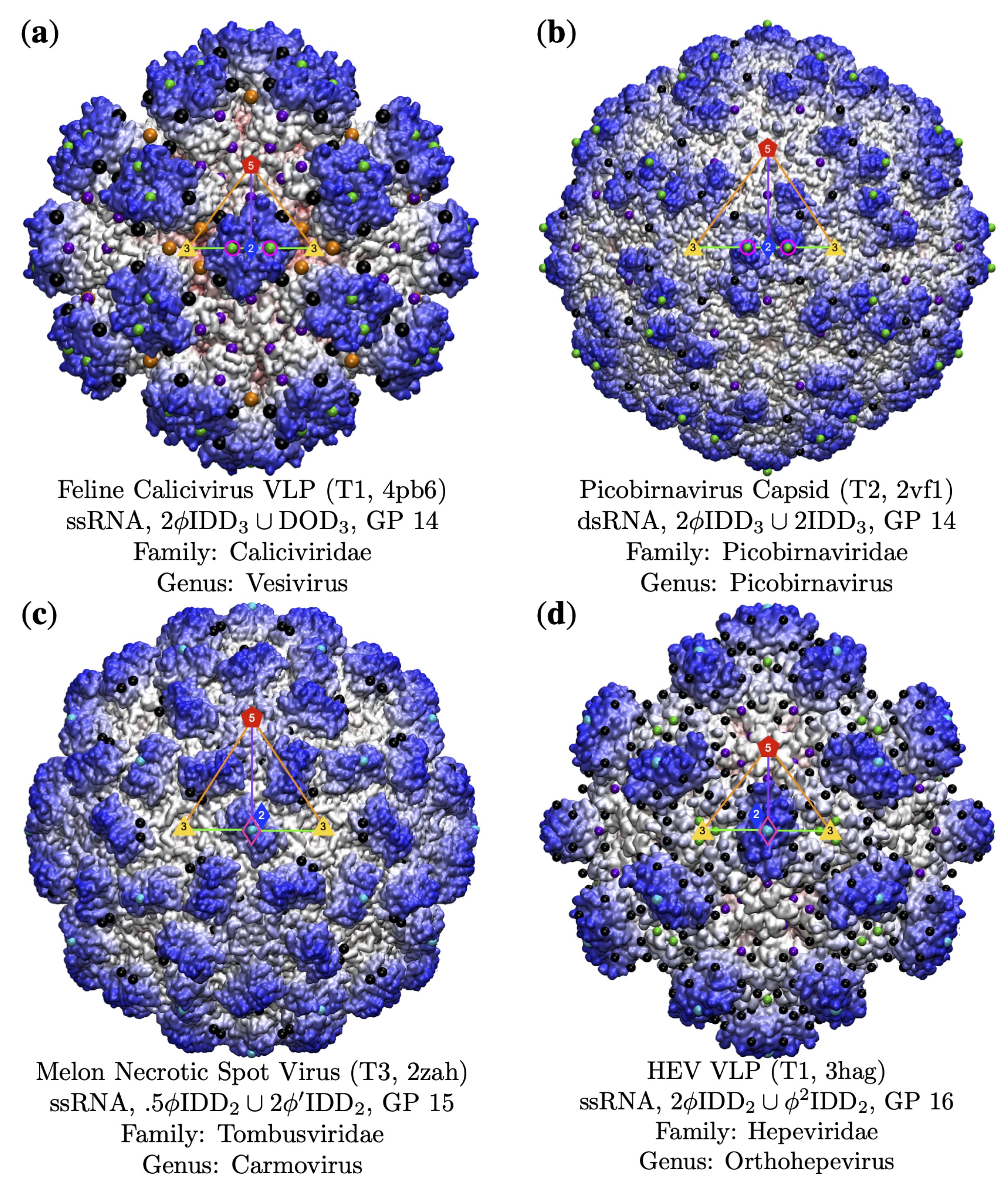 Viruses 13 02191 g010