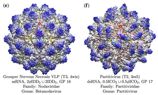 Viruses 13 02191 g011