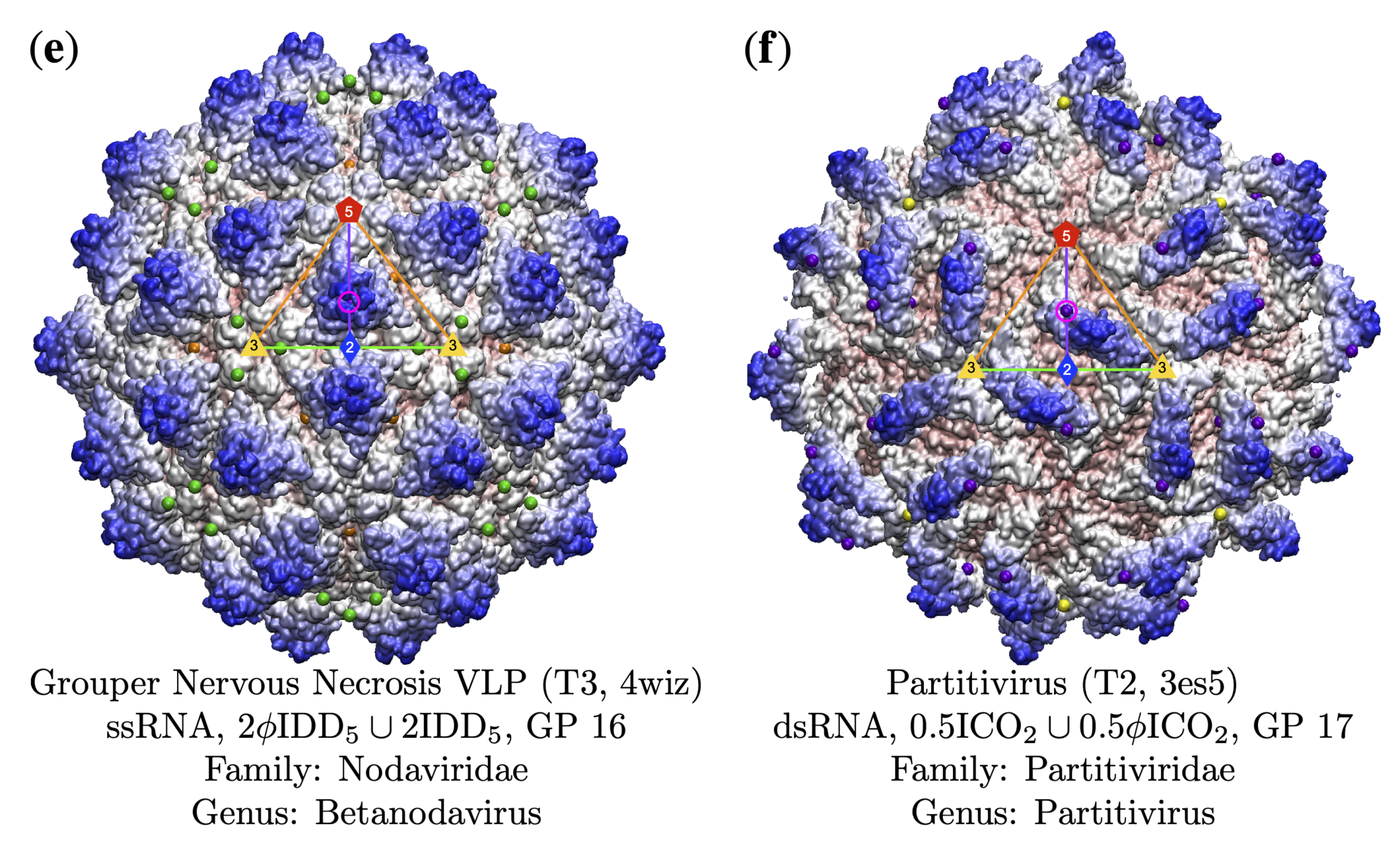 Viruses 13 02191 g011