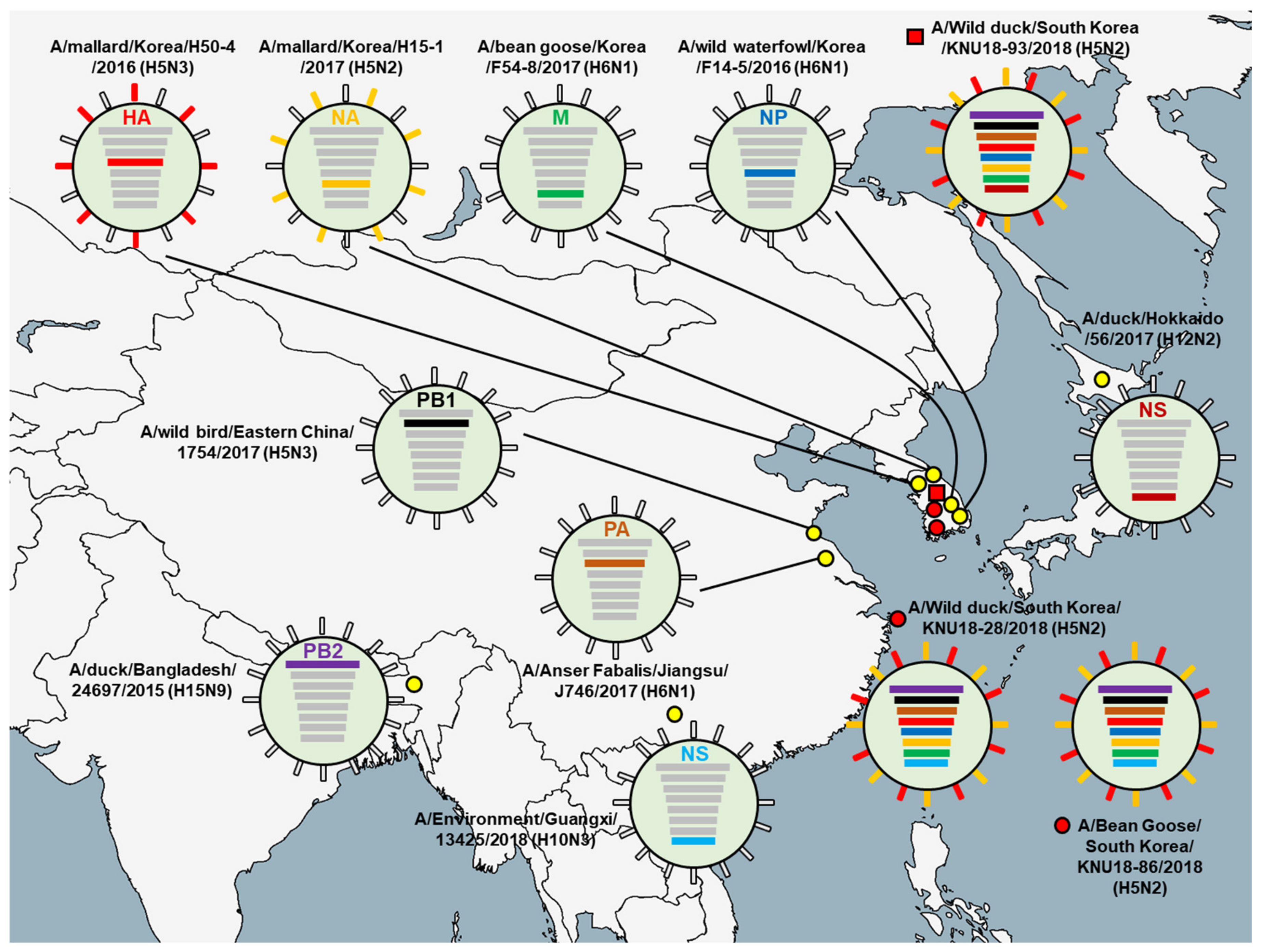 Viruses 13 02192 g001