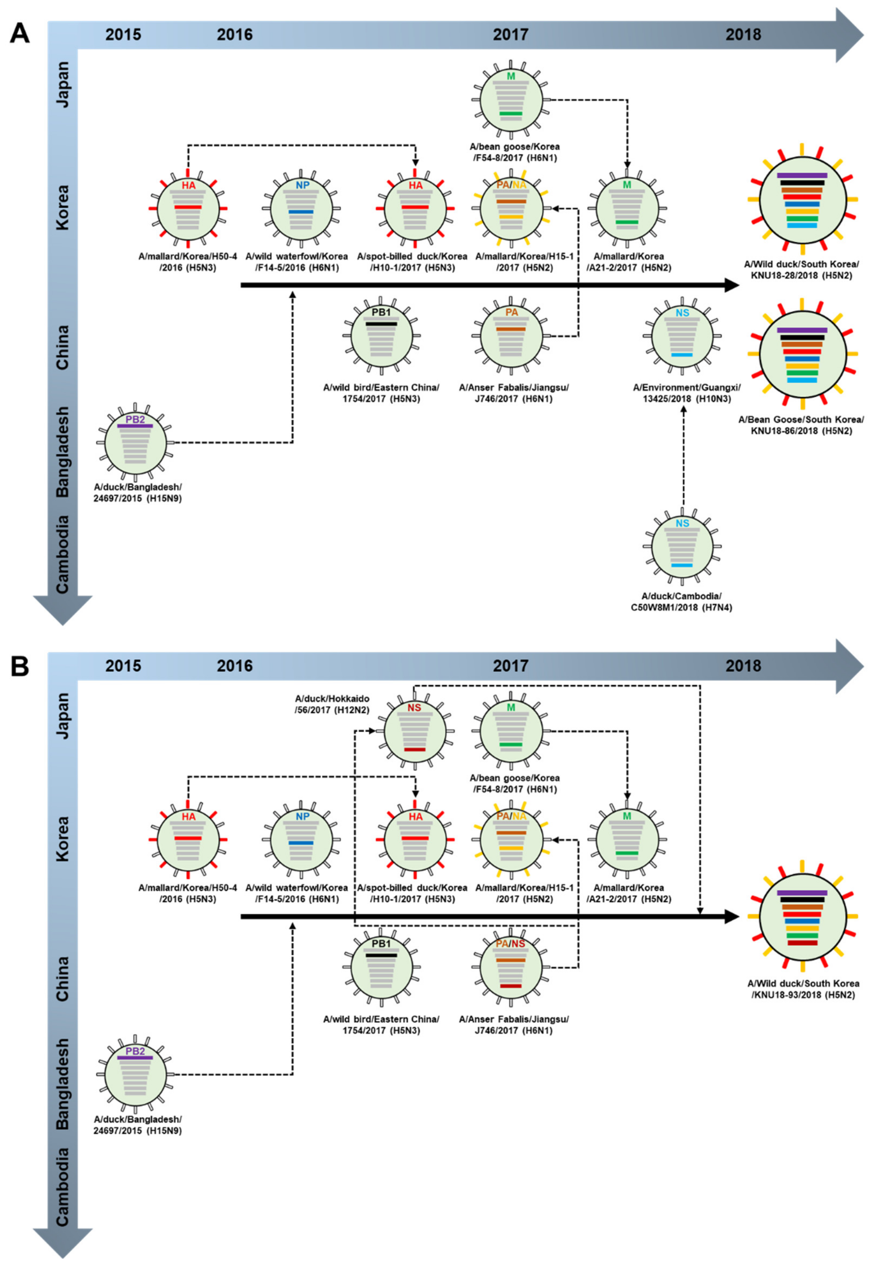Viruses 13 02192 g003