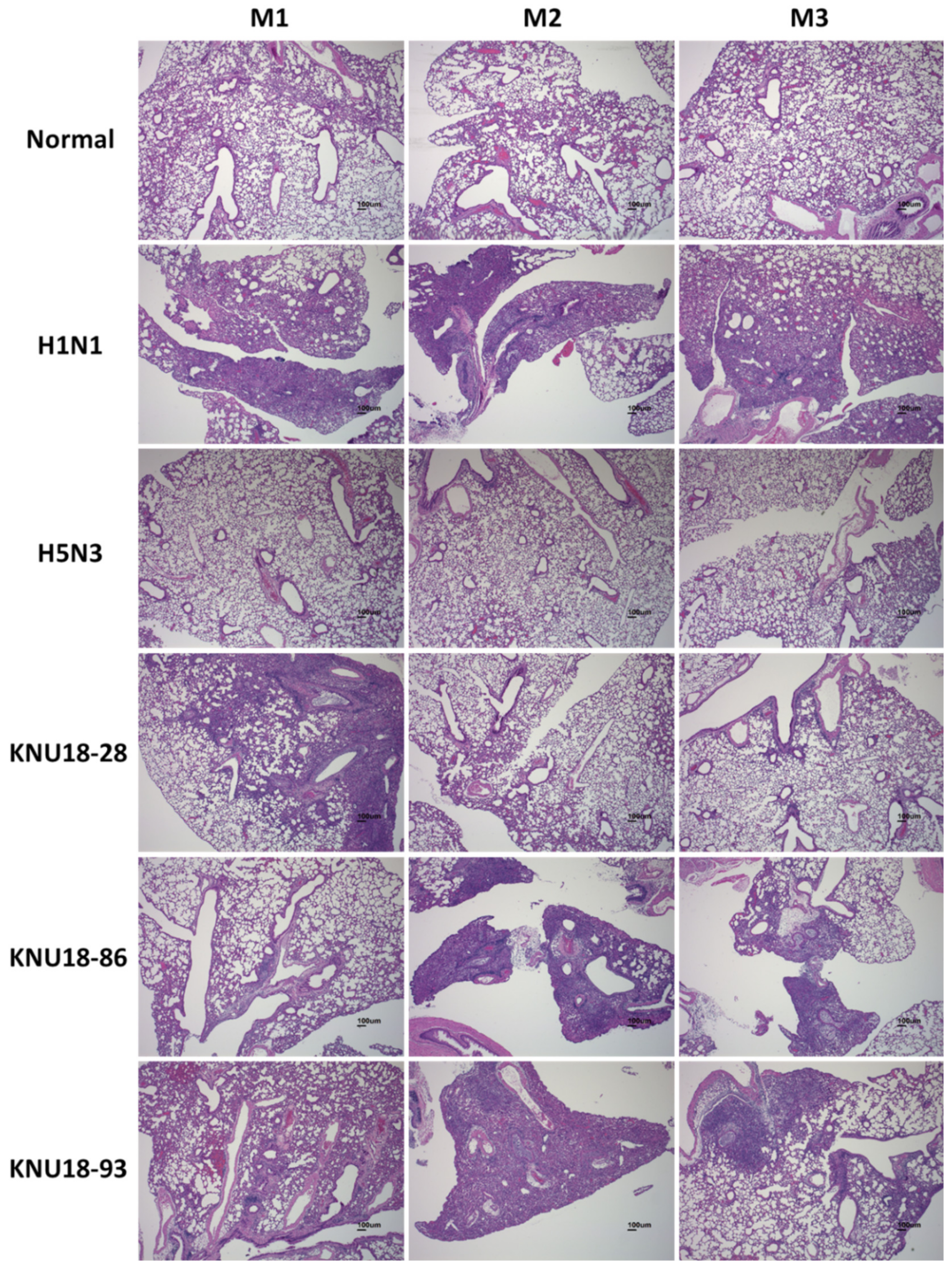 Viruses 13 02192 g006
