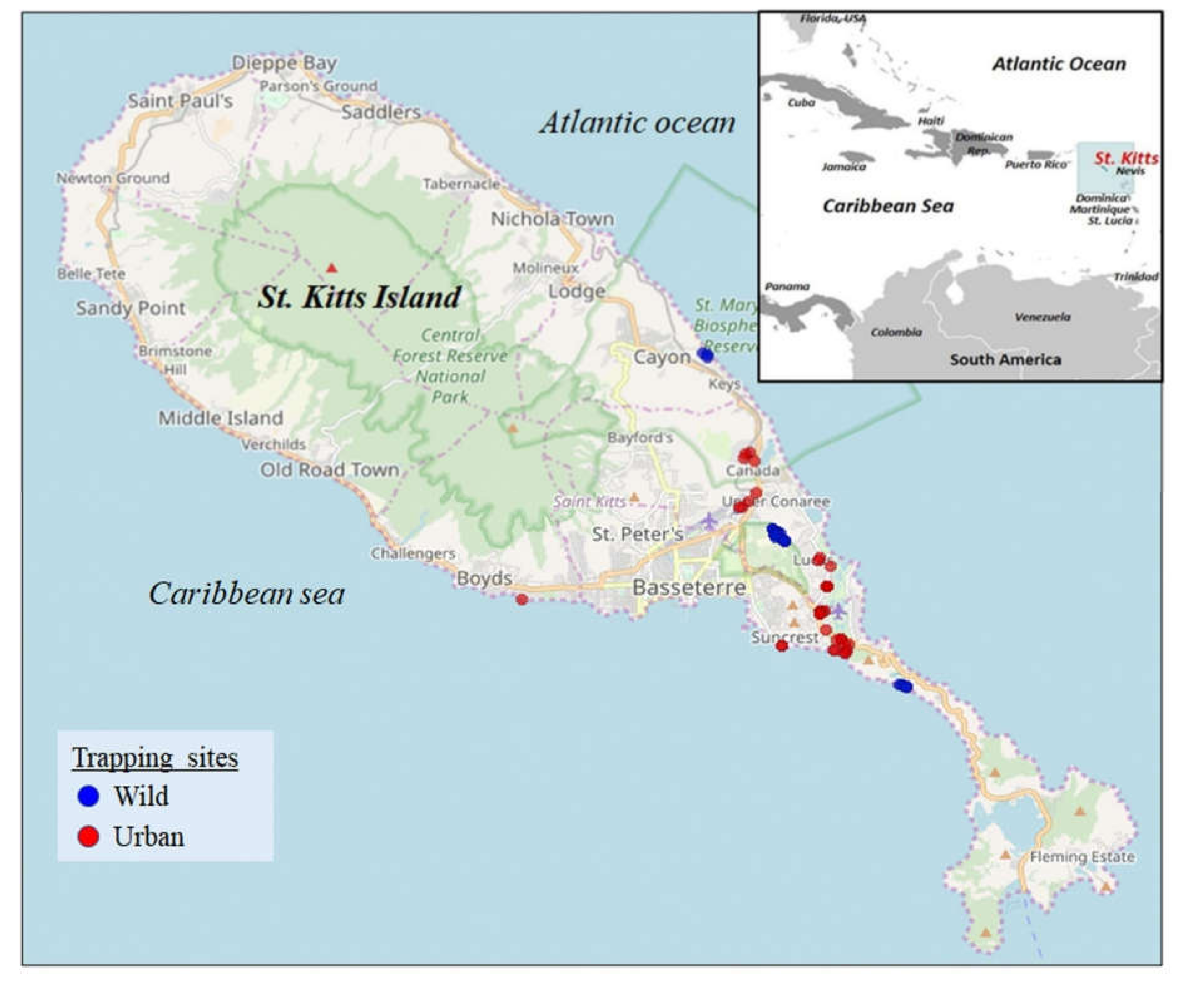 Viruses 13 02194 g002