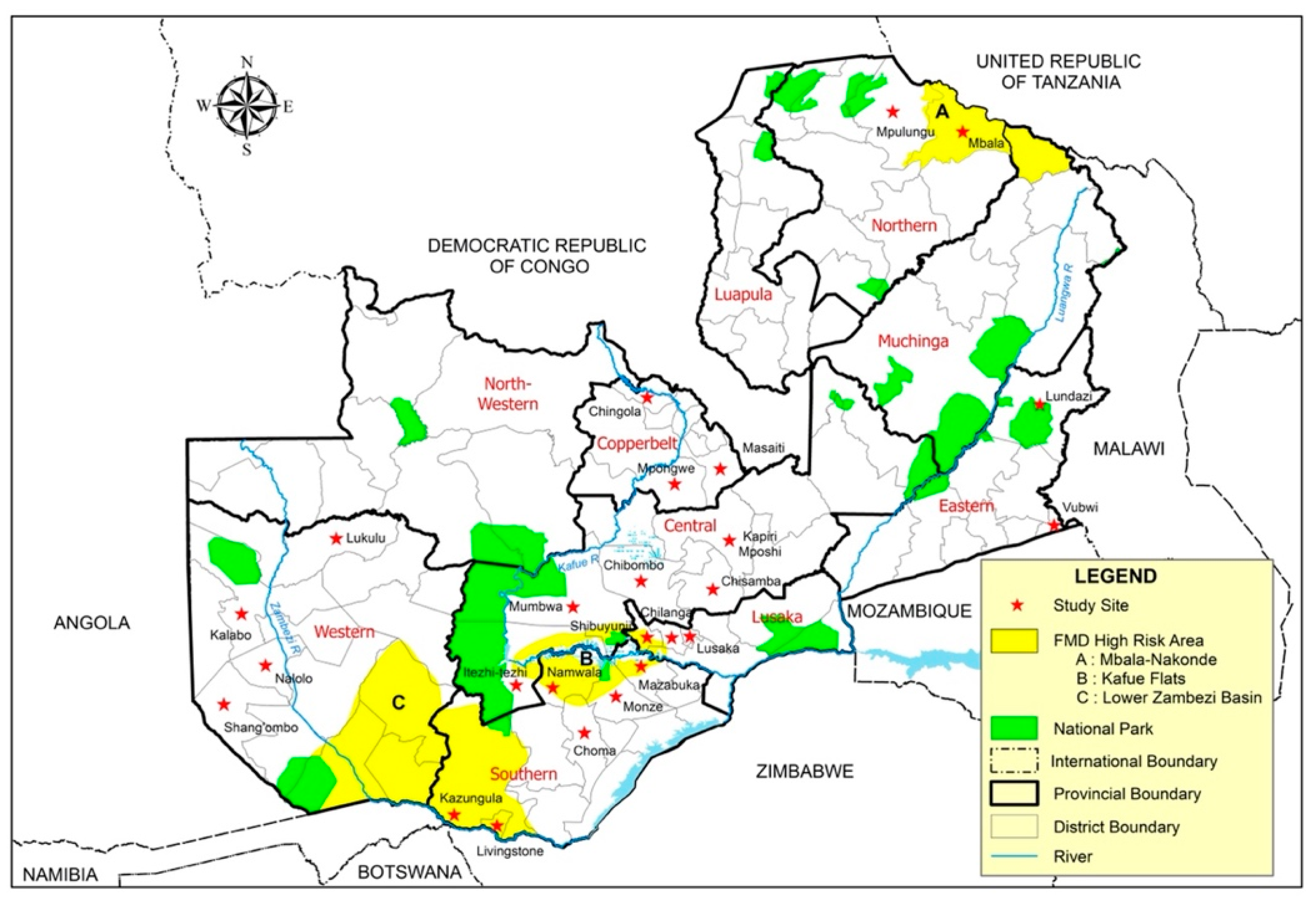 Viruses 13 02195 g001