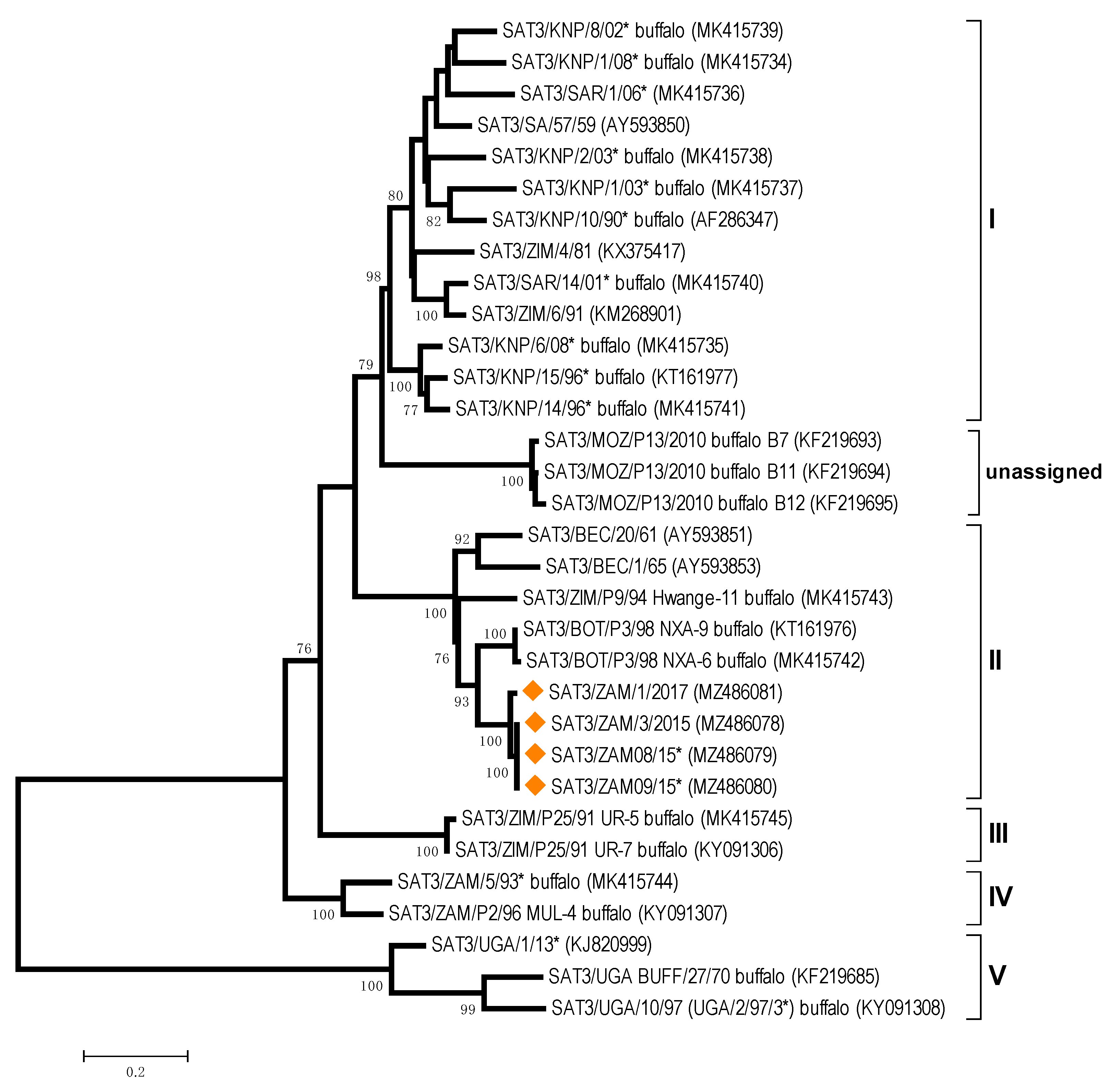 Viruses 13 02195 g003