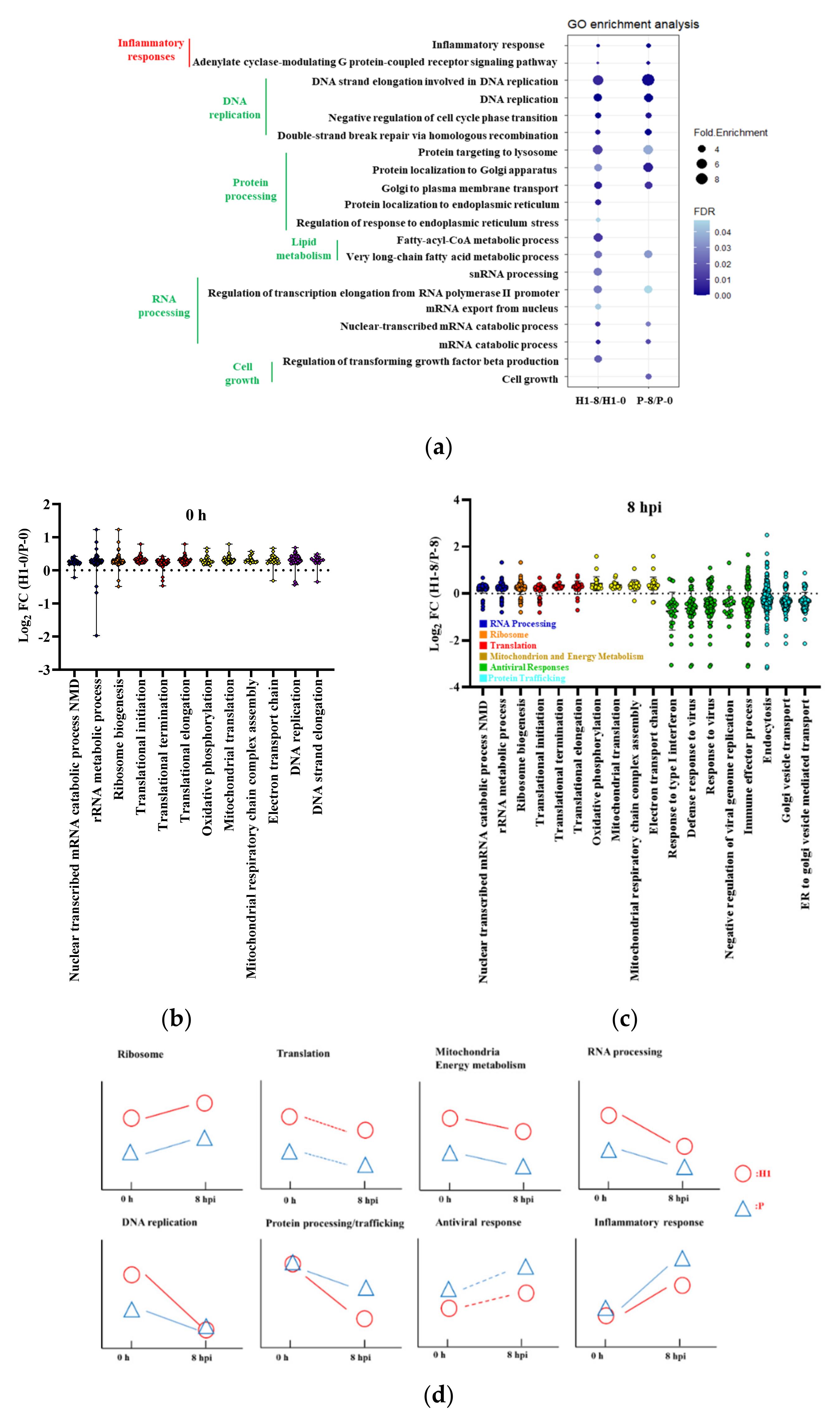 Viruses 13 02200 g004