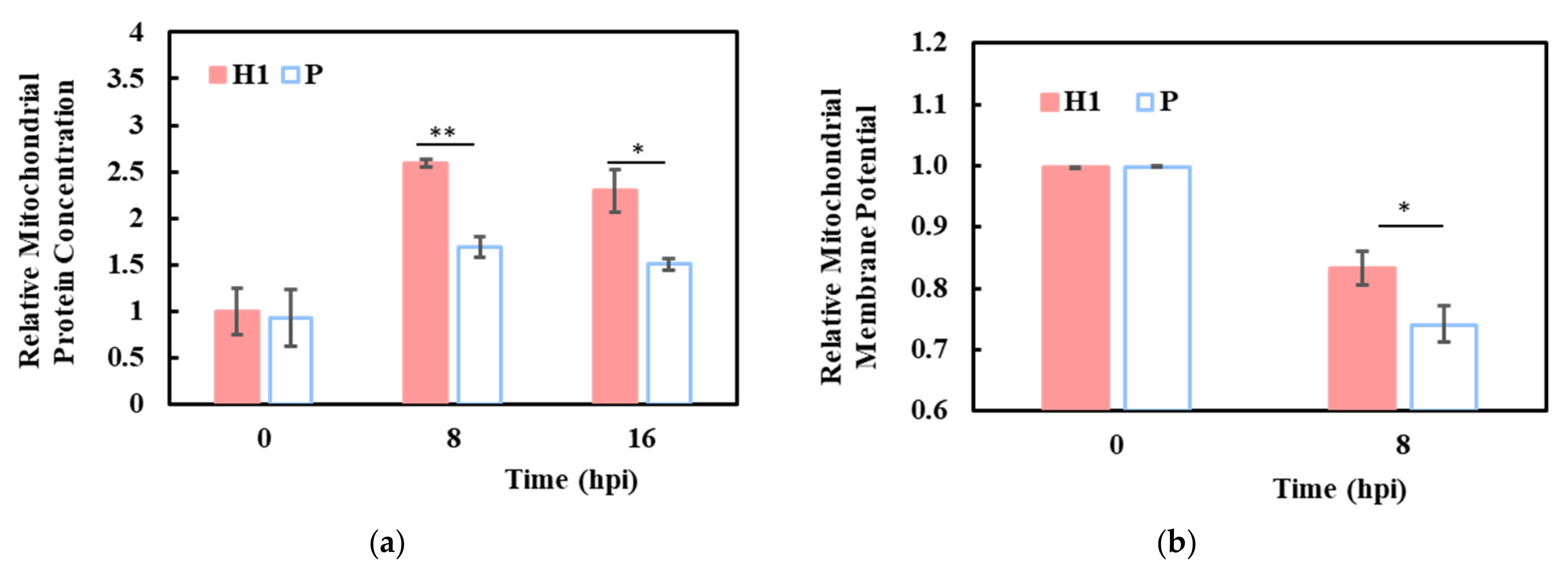 Viruses 13 02200 g005