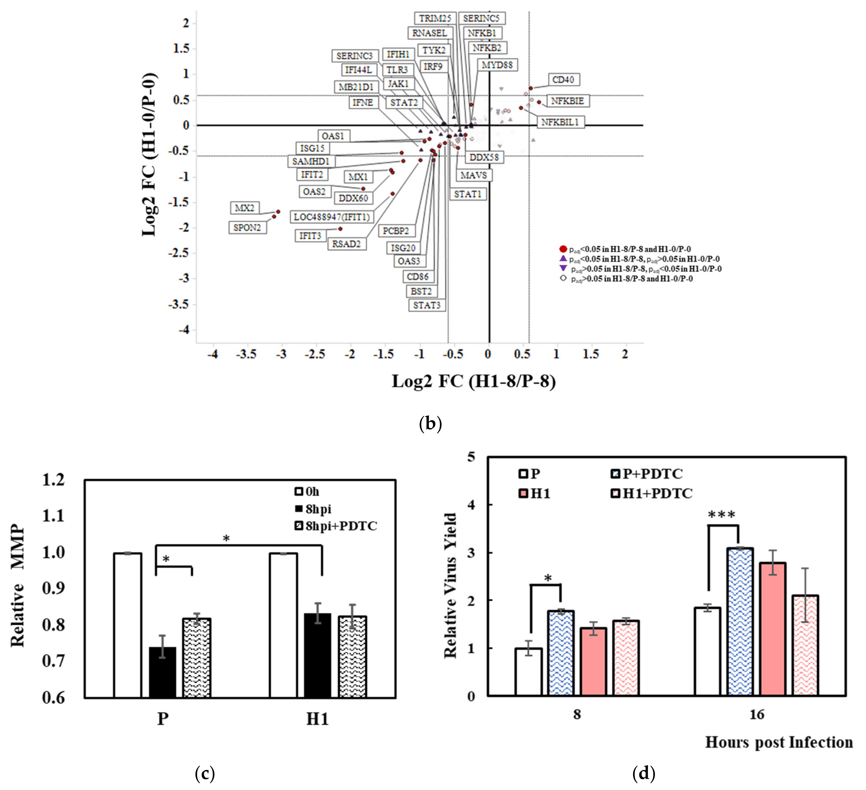 Viruses 13 02200 g006b