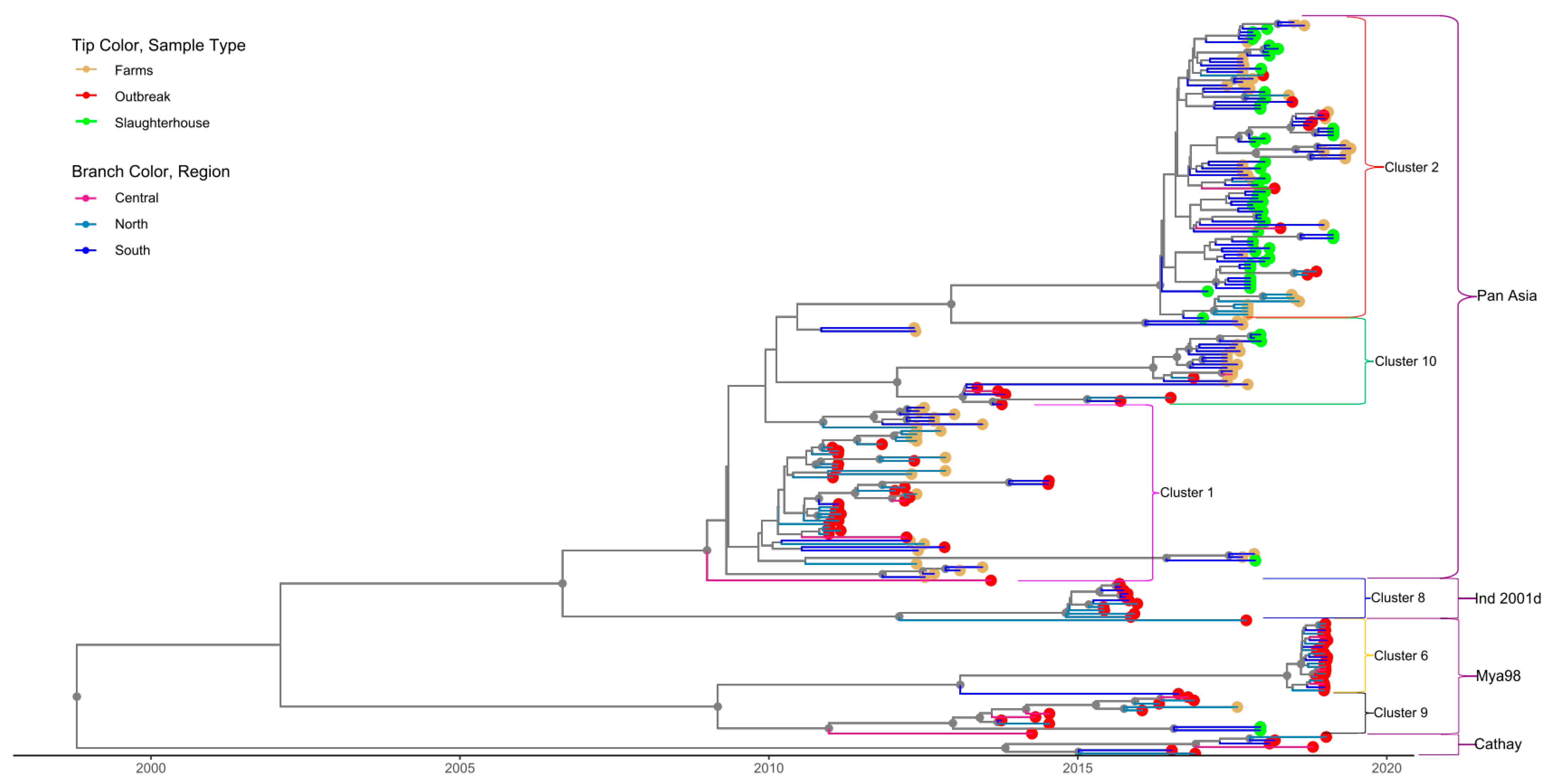 Viruses 13 02203 g003