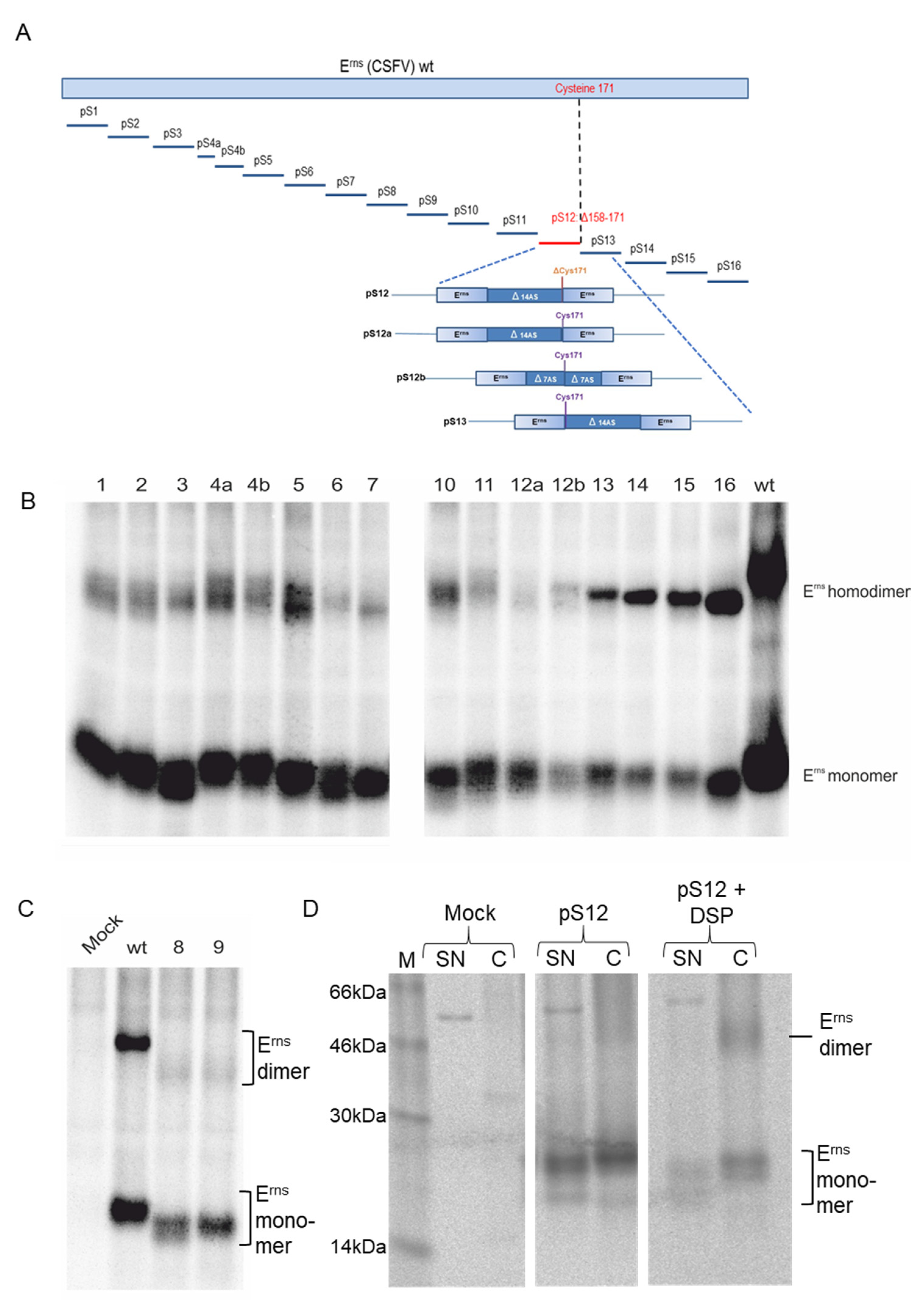 Viruses 13 02204 g002