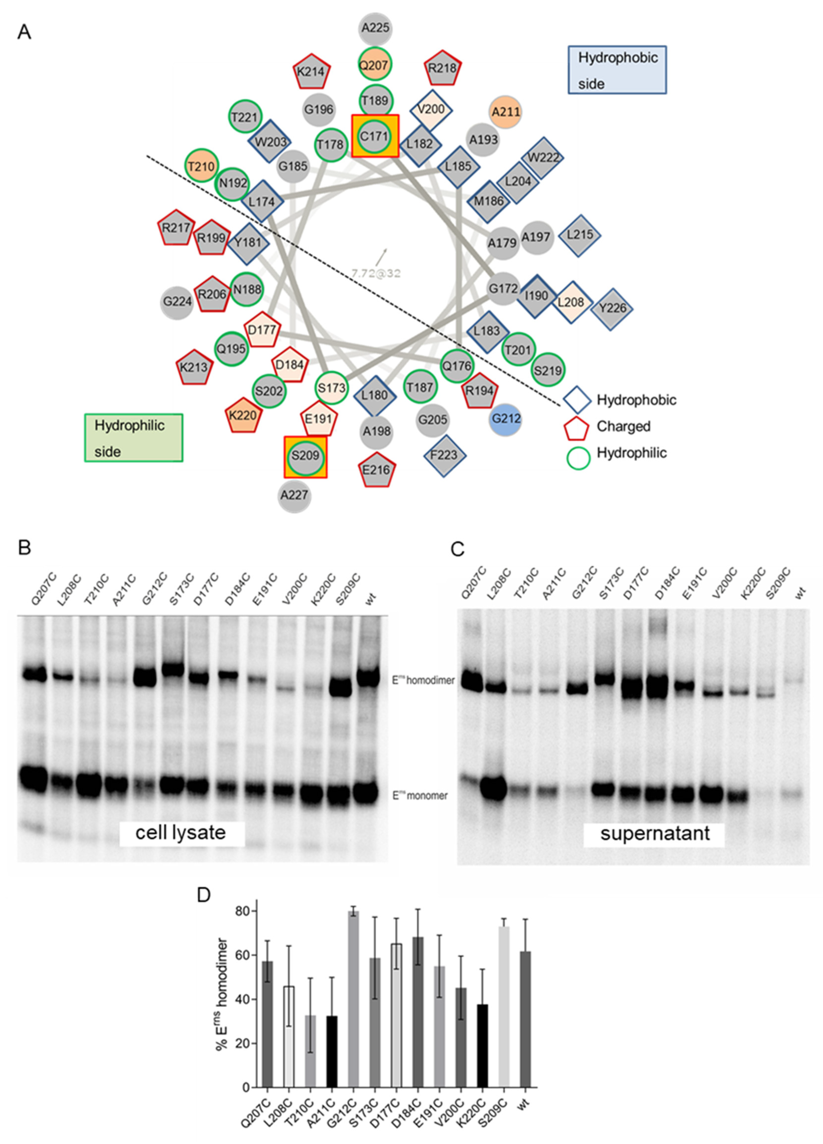 Viruses 13 02204 g003