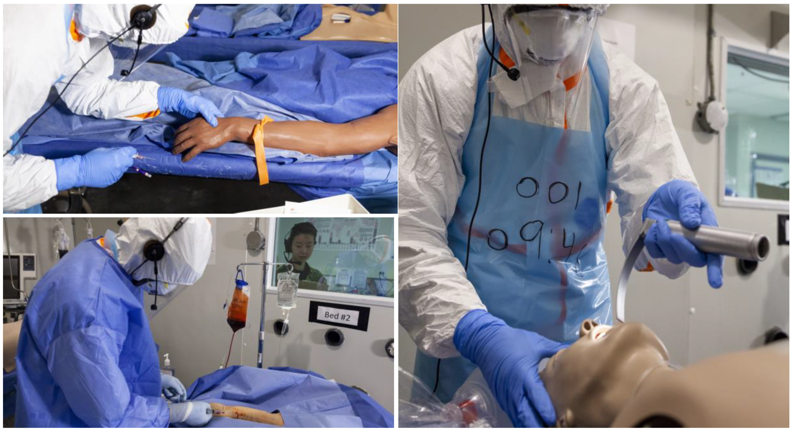 Viruses 13 02205 g002