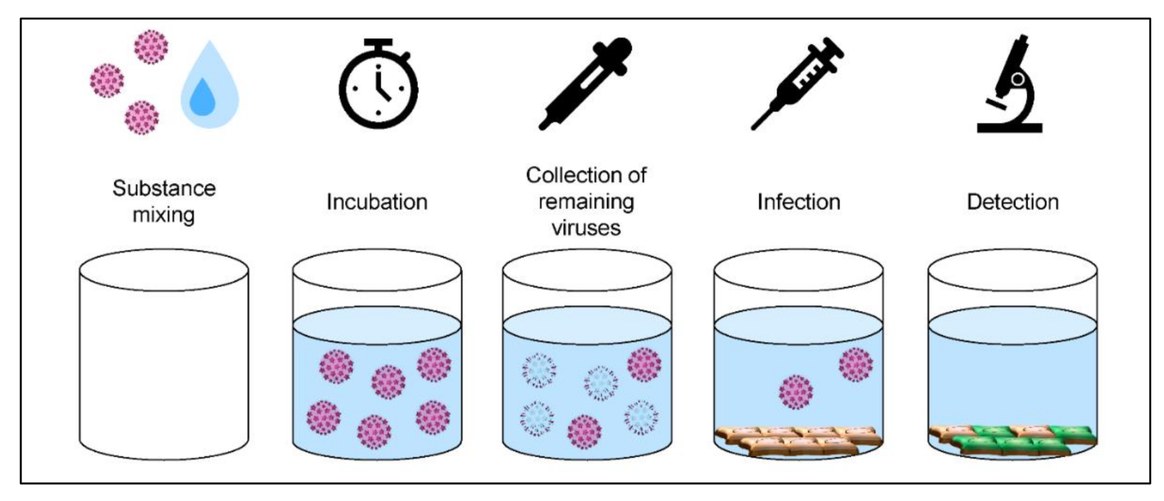 Viruses 13 02207 g003 Viruses 13 02207 g003