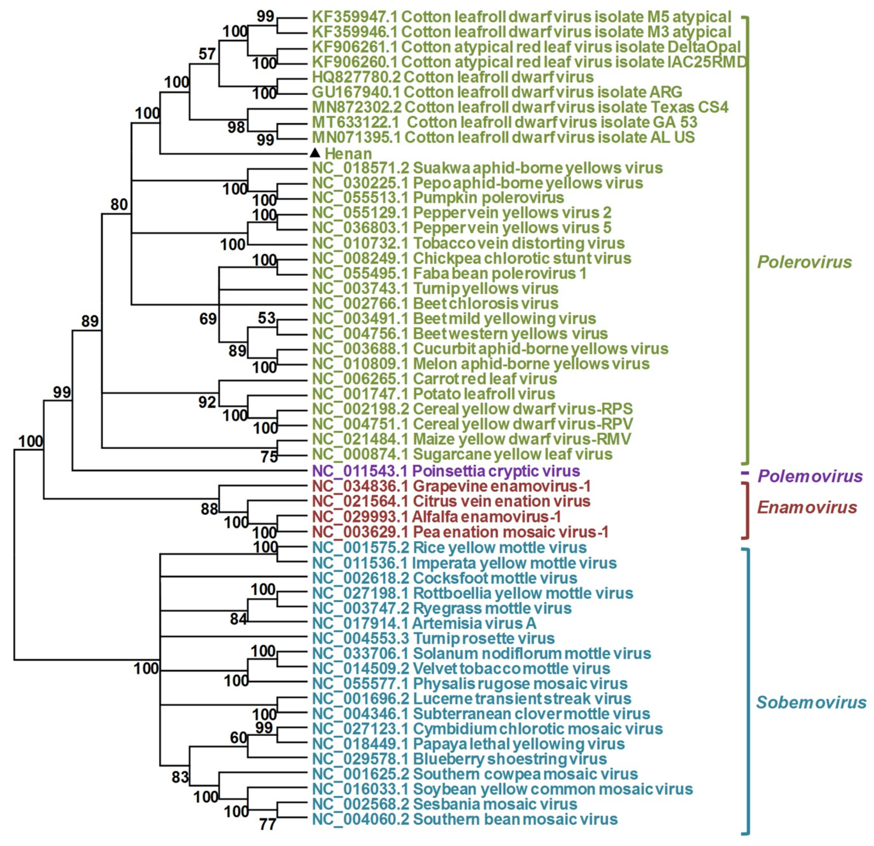 Viruses 13 02210 g004