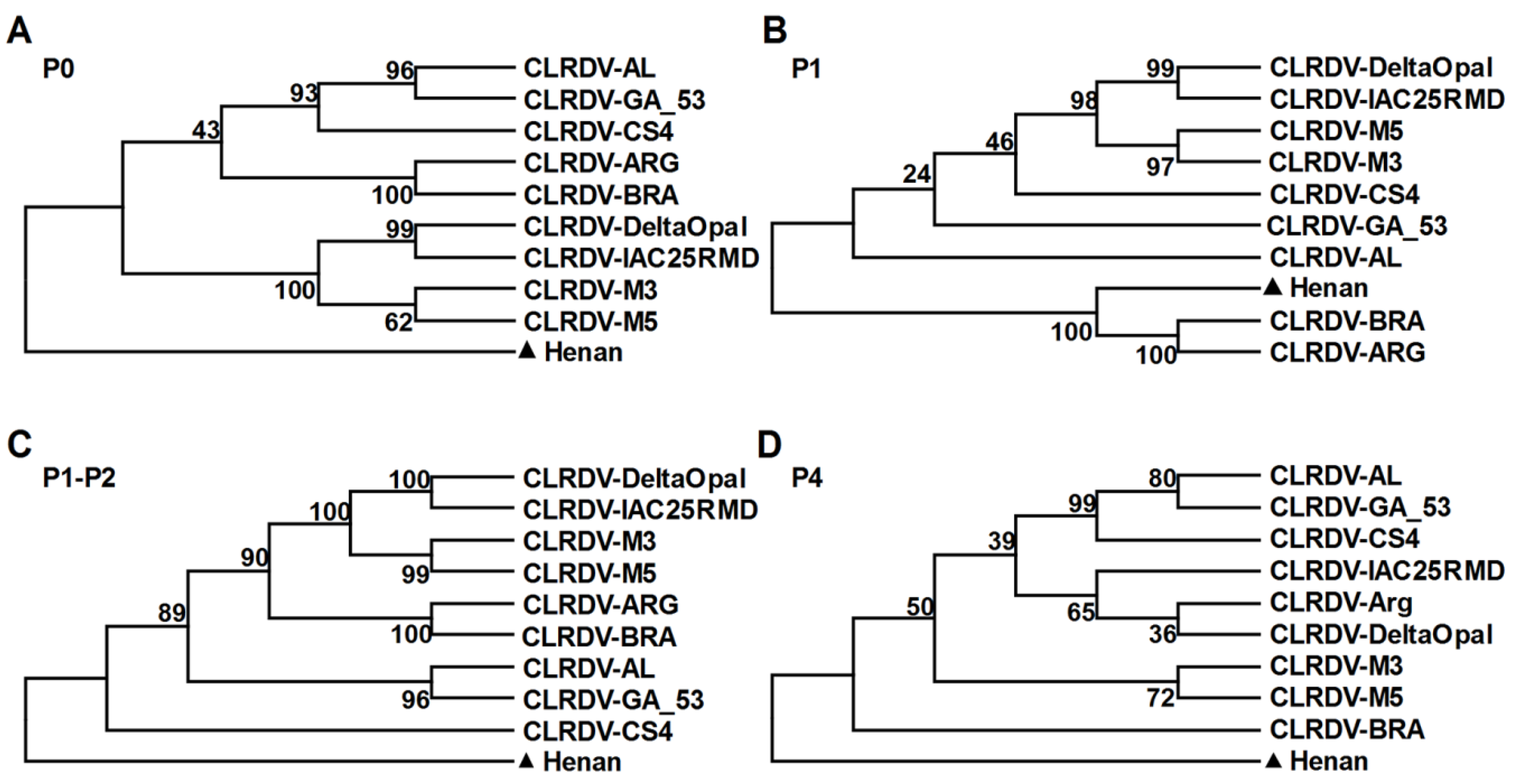 Viruses 13 02210 g005