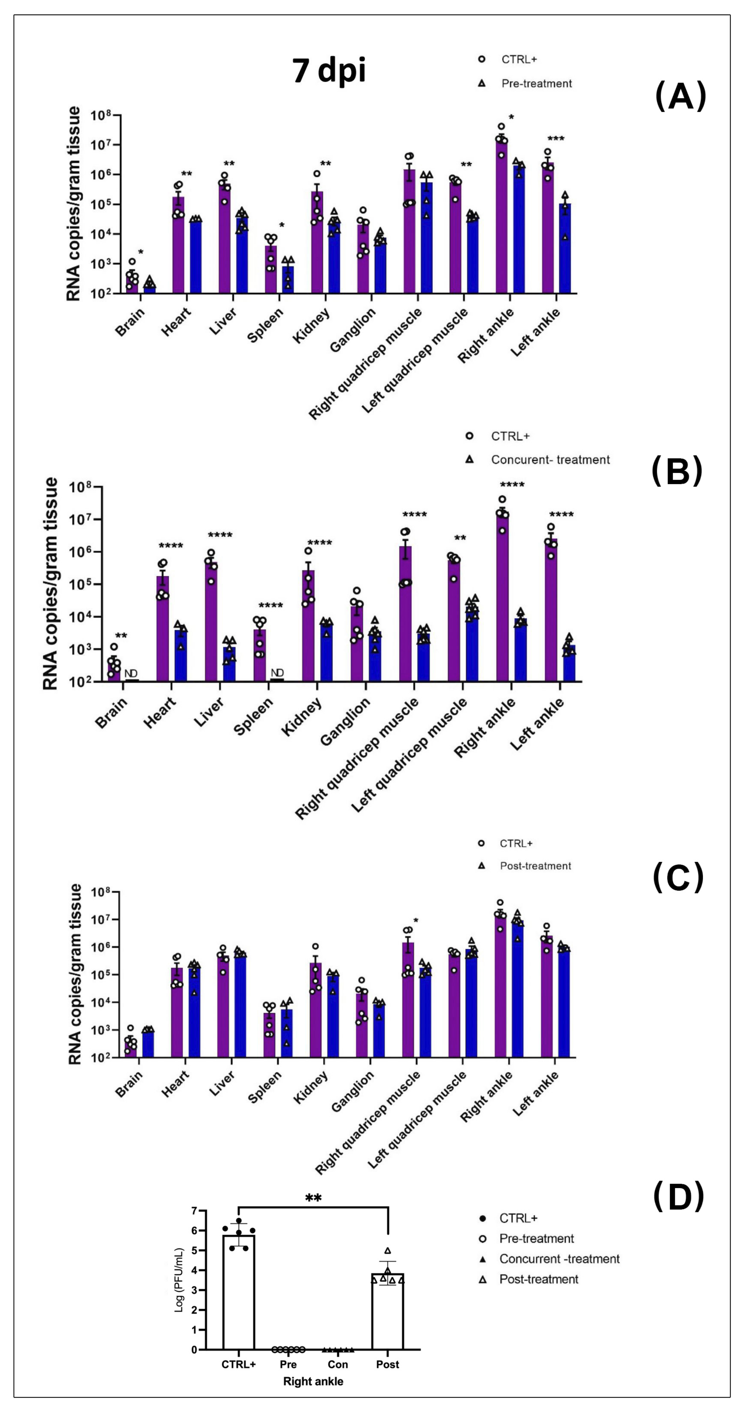 Viruses 13 02213 g005a