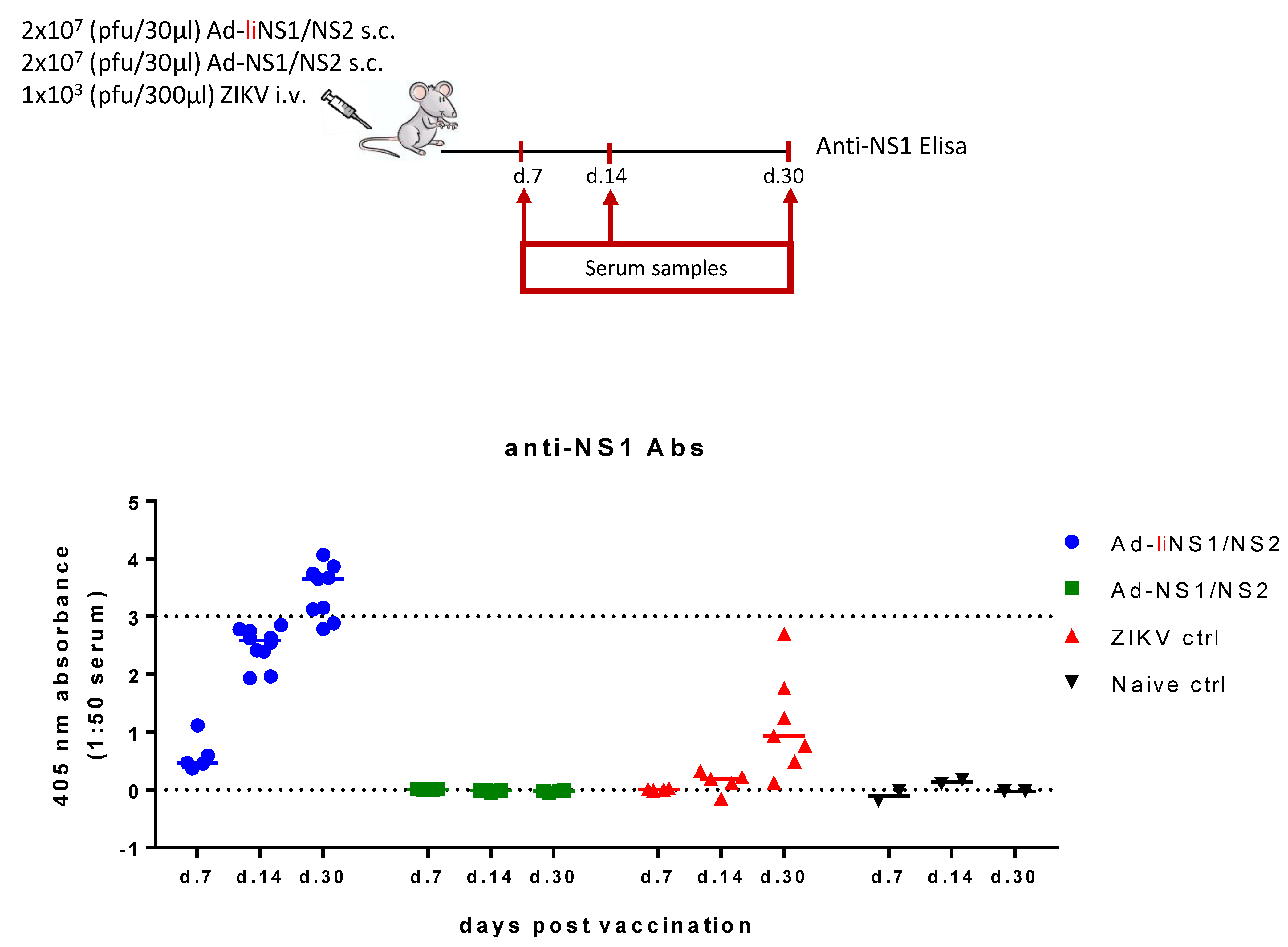 Viruses 13 02215 g002