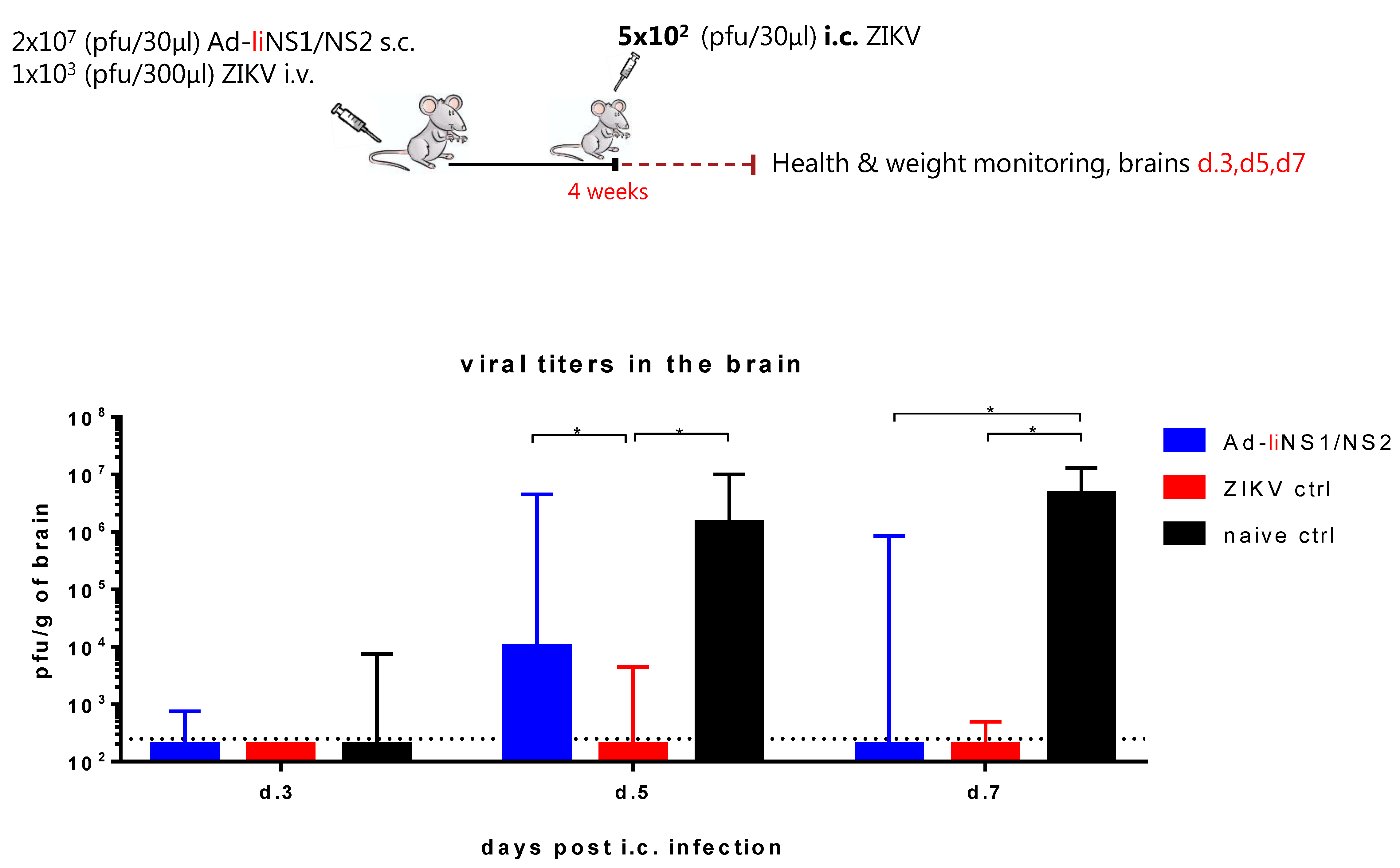 Viruses 13 02215 g004