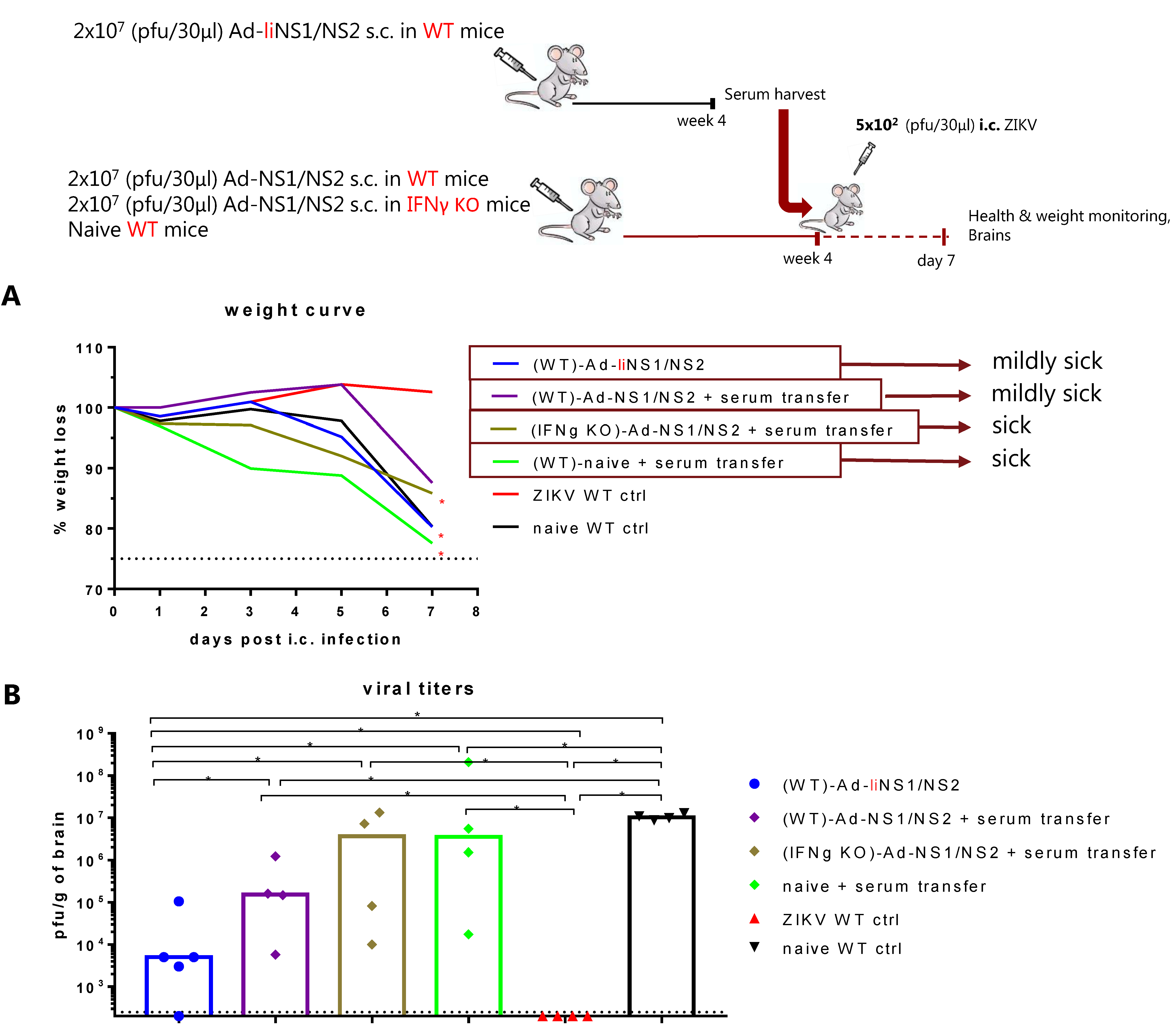 Viruses 13 02215 g007