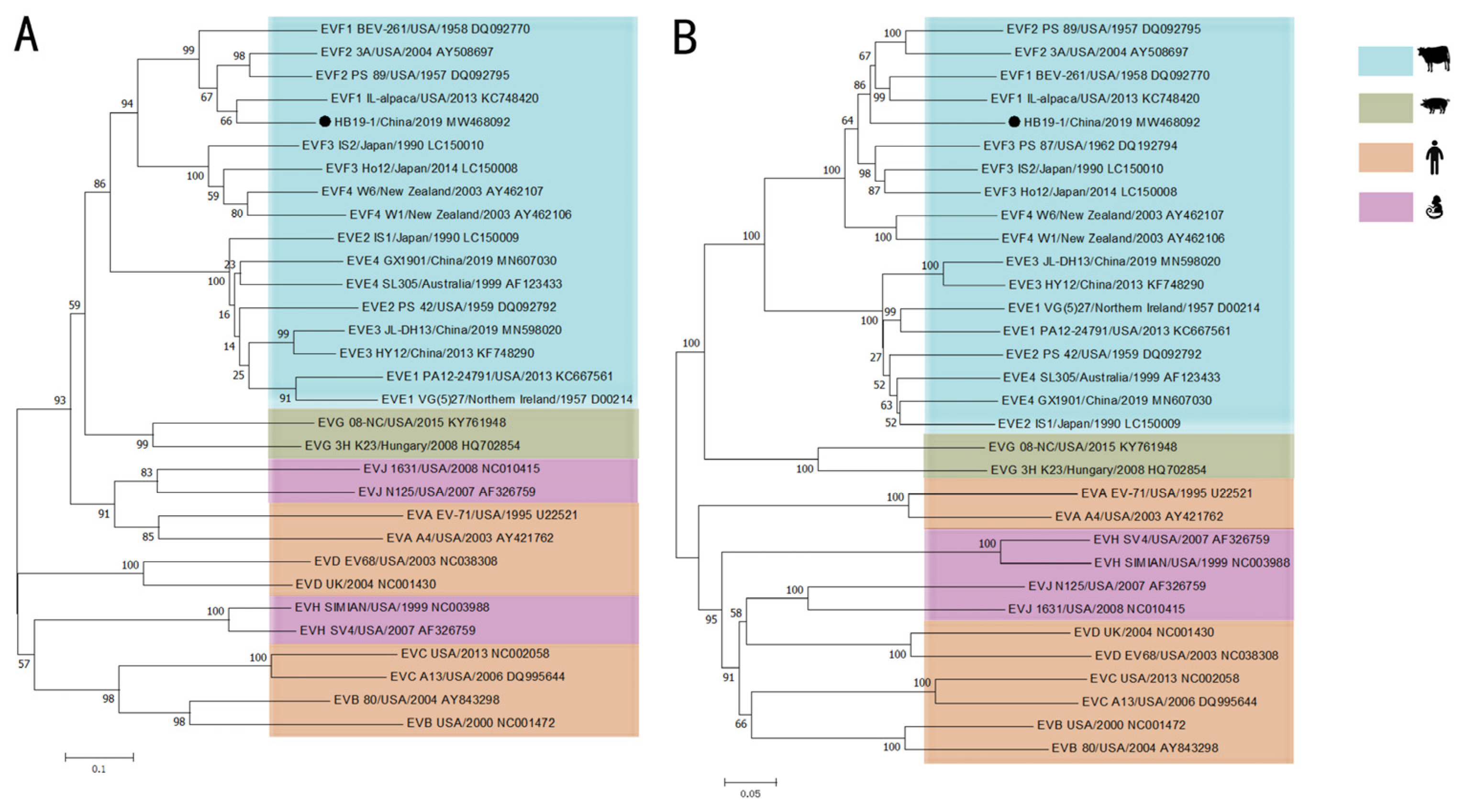 Viruses 13 02217 g002