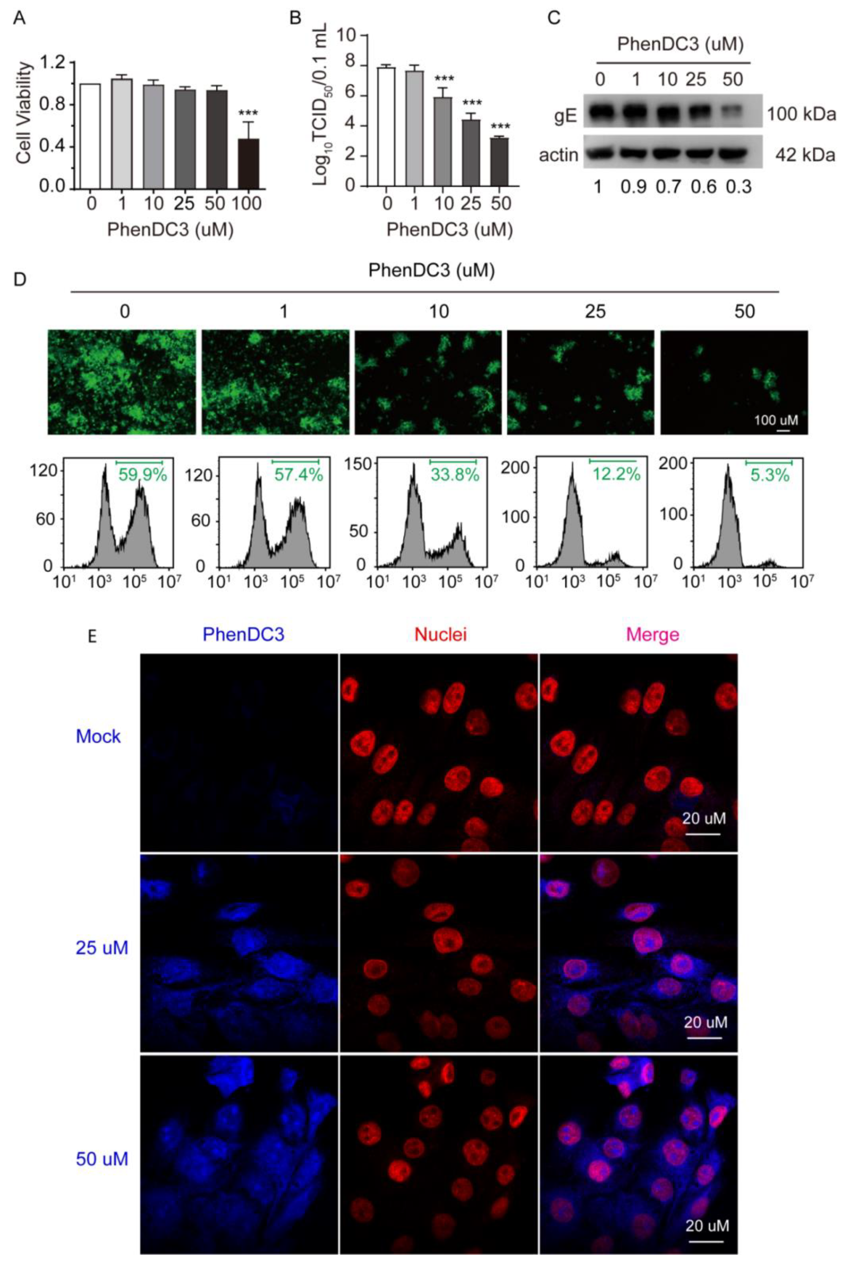 Viruses 13 02219 g003