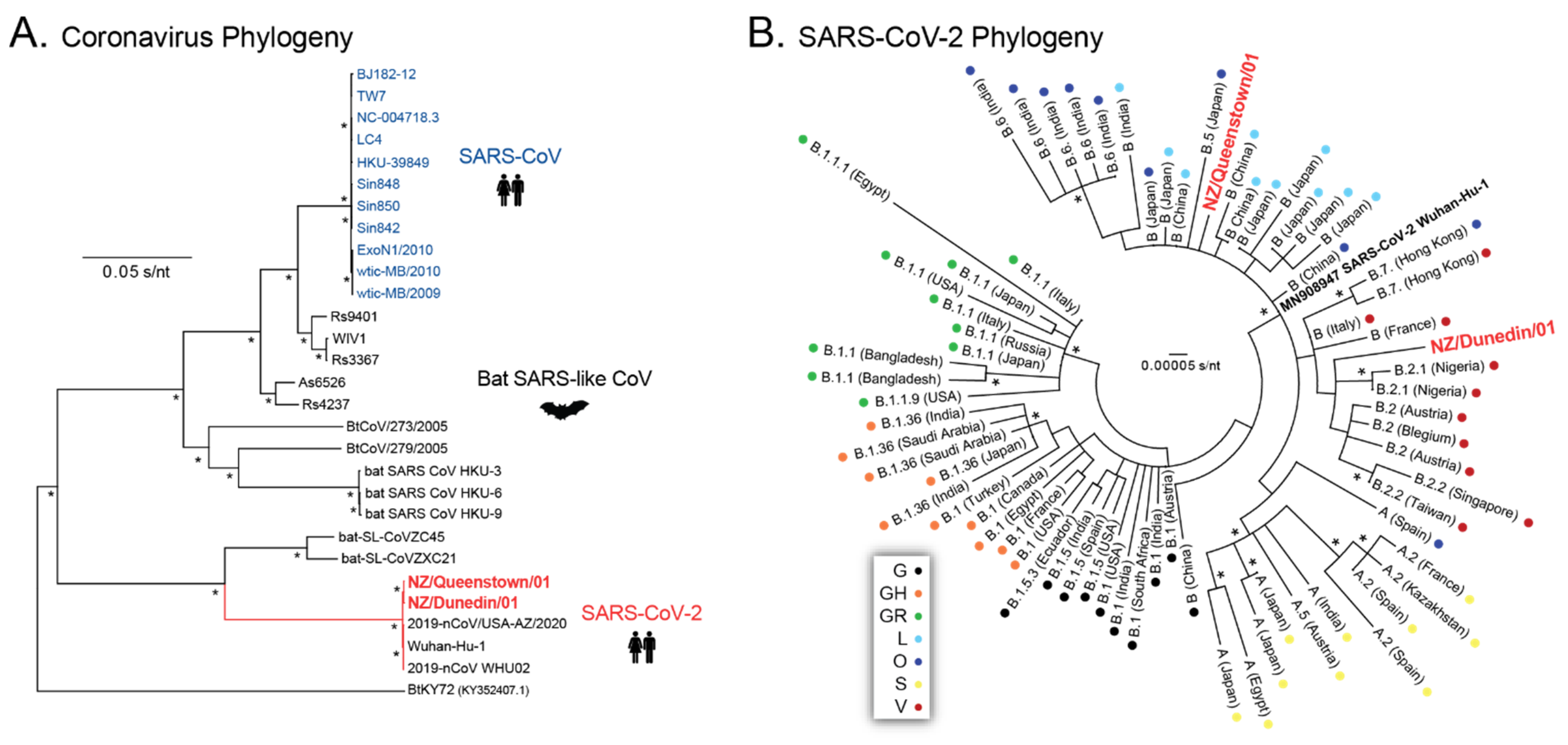 Viruses 13 02222 g005