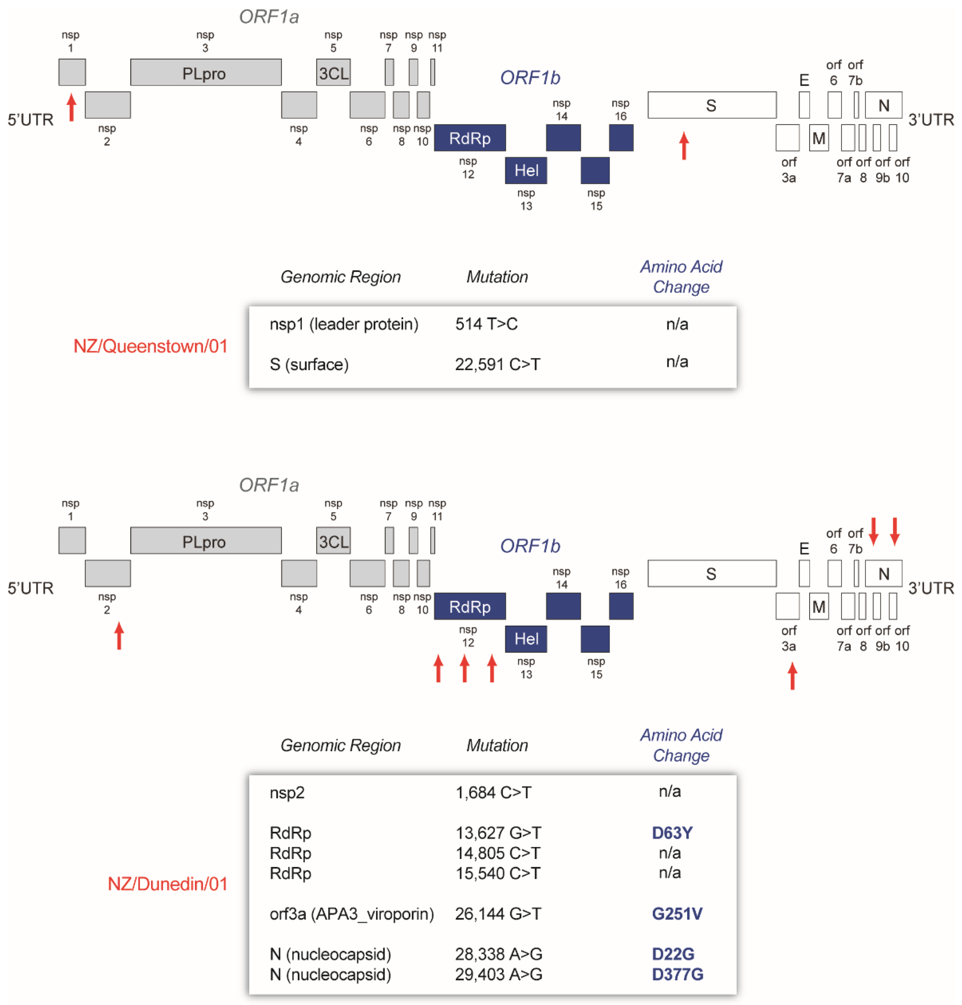 Viruses 13 02222 g006