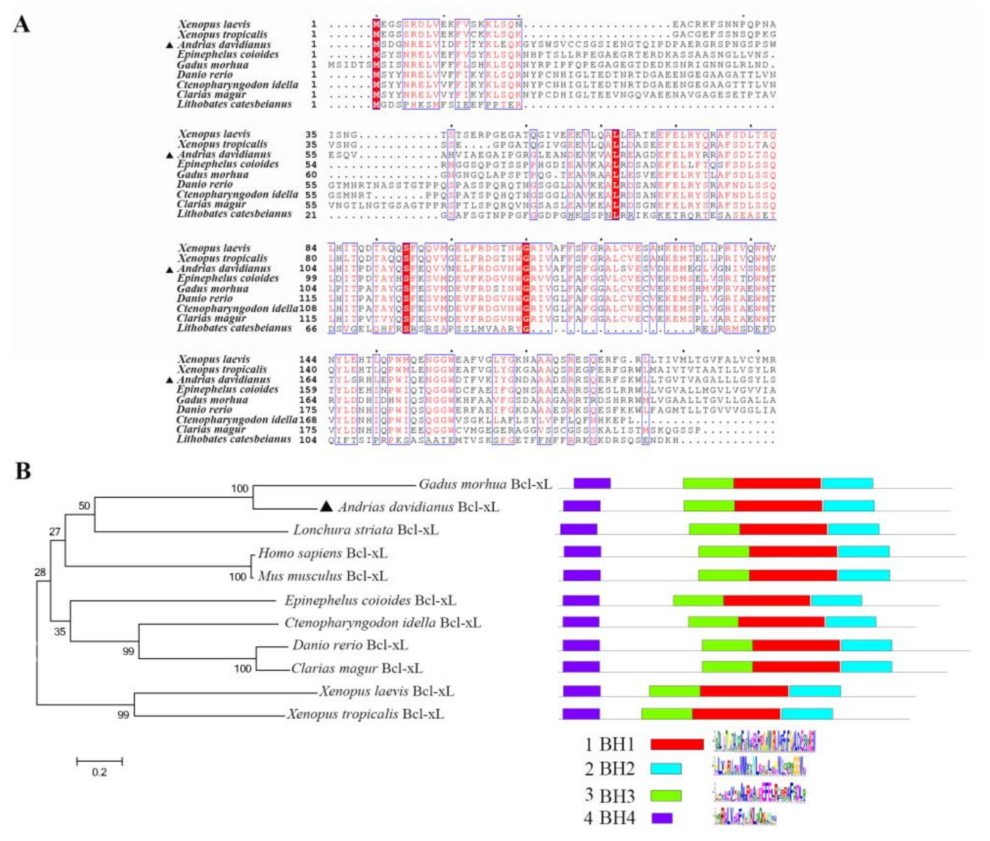 Viruses 13 02224 g001