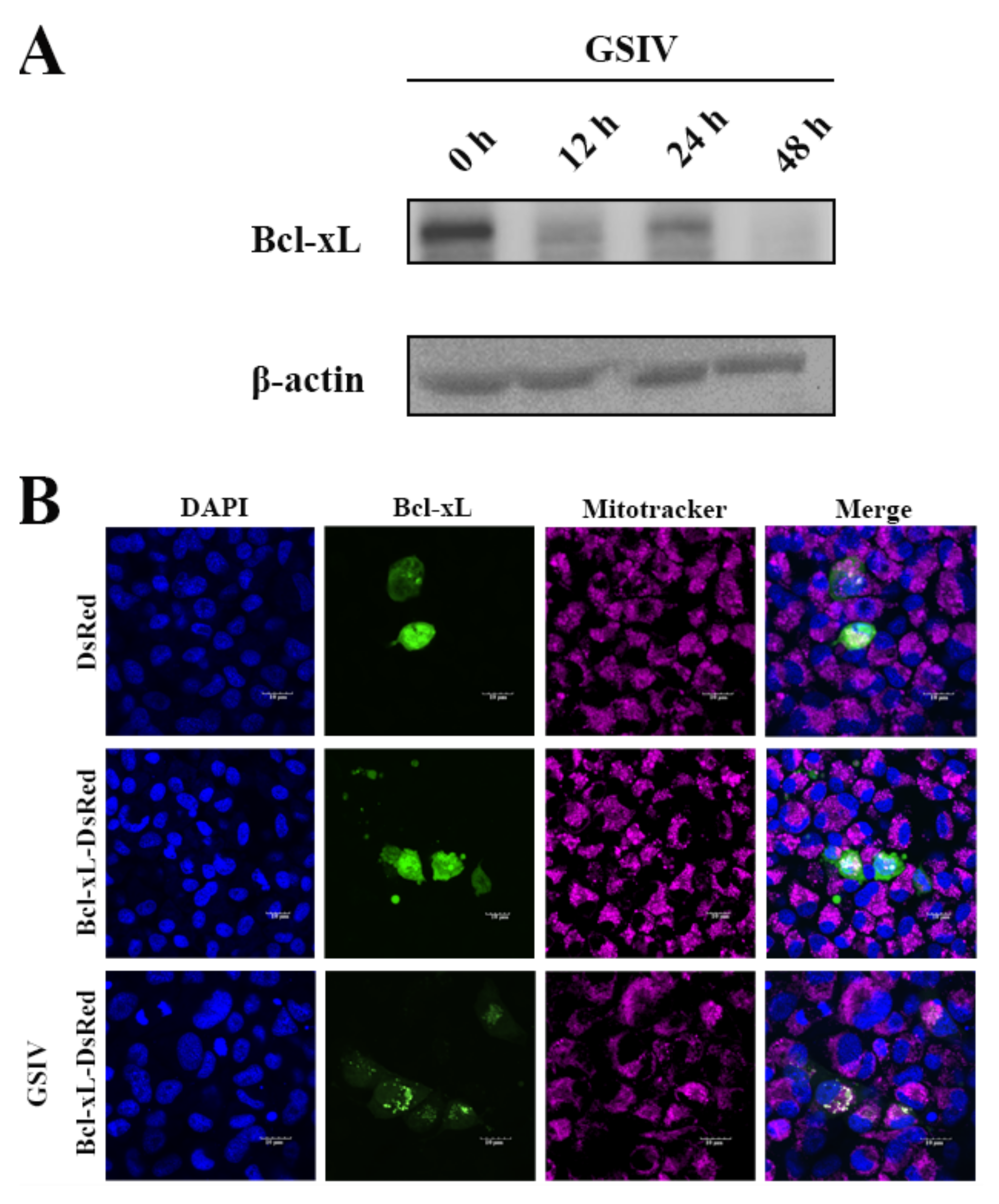 Viruses 13 02224 g002
