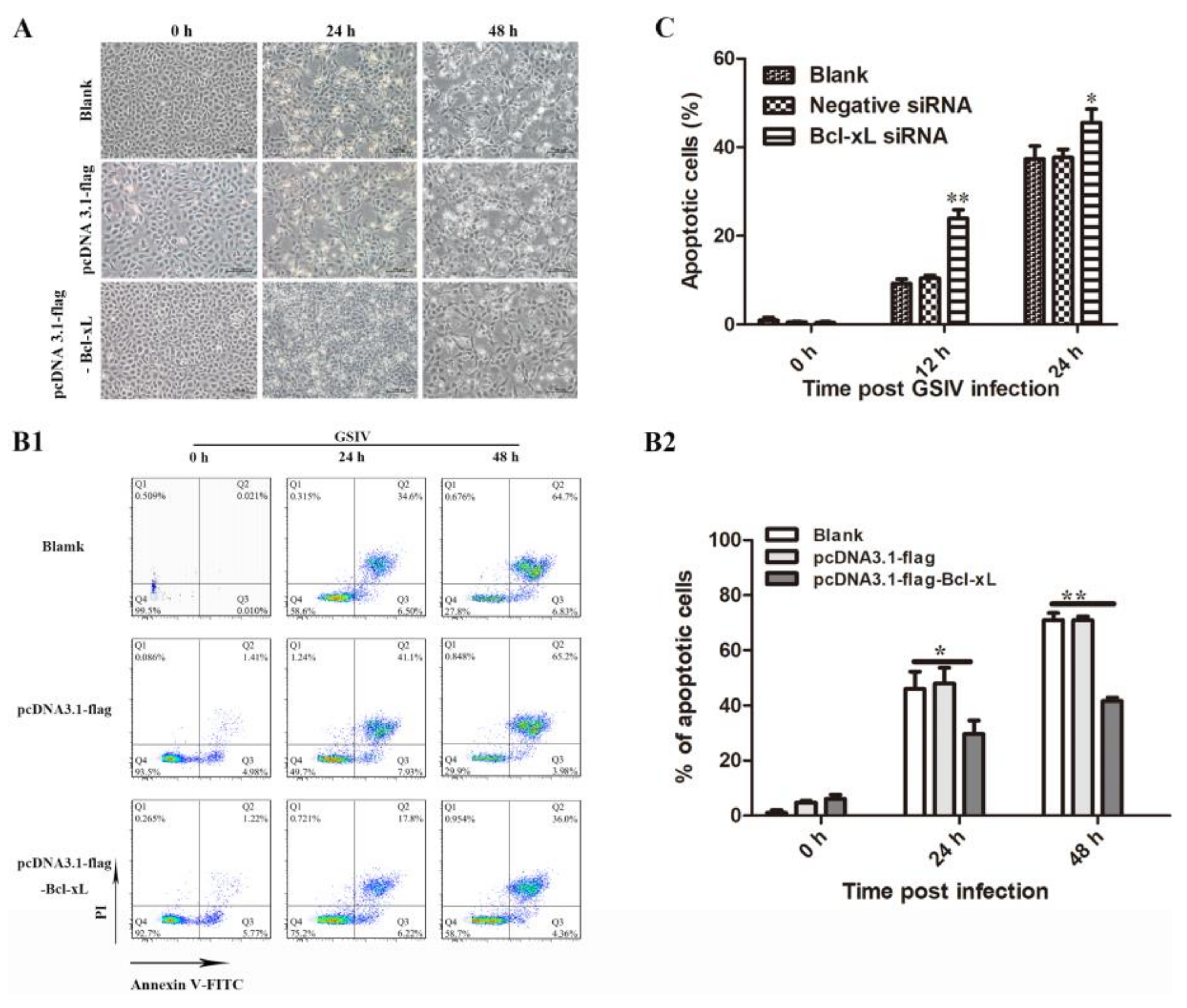 Viruses 13 02224 g003
