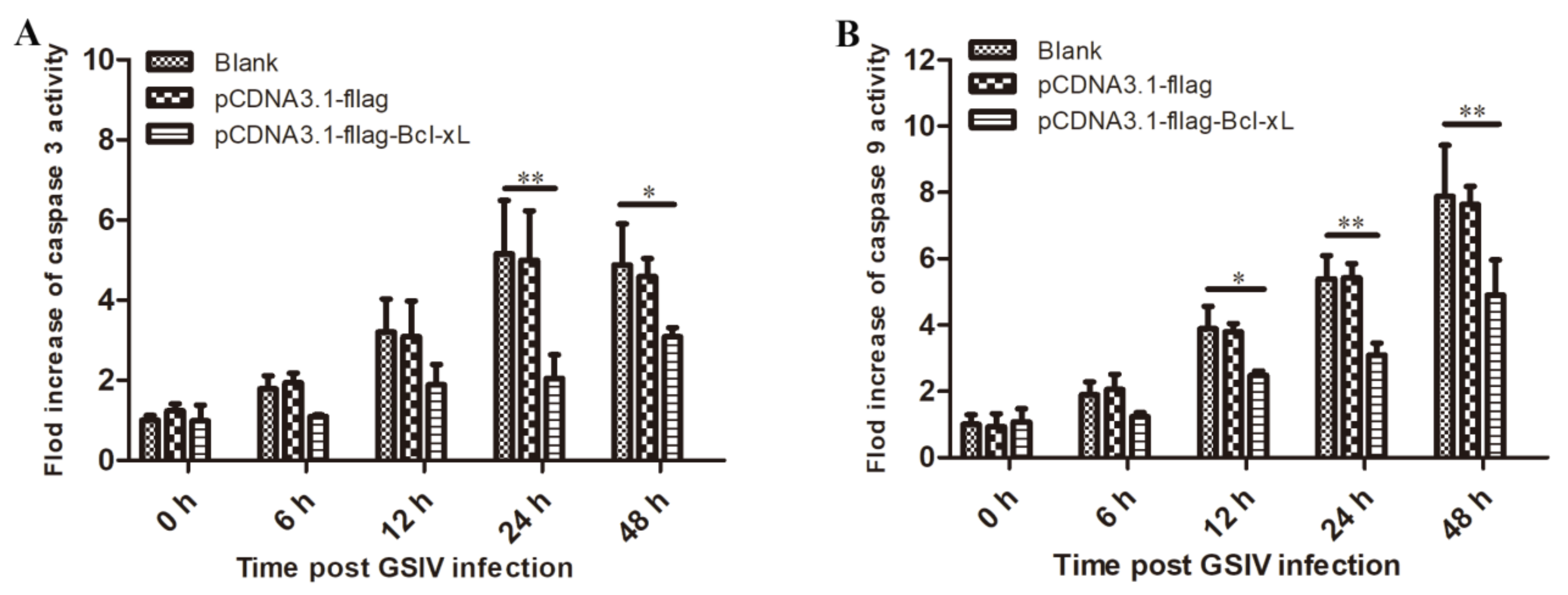 Viruses 13 02224 g004