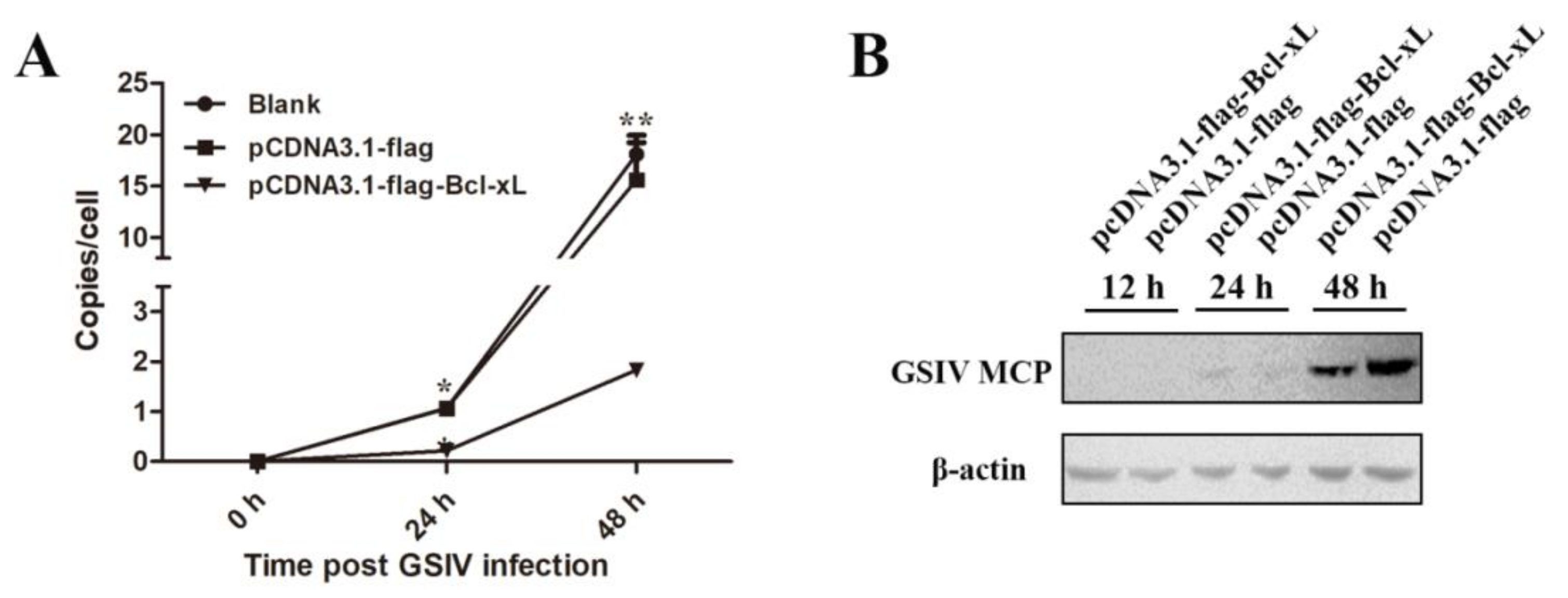 Viruses 13 02224 g005