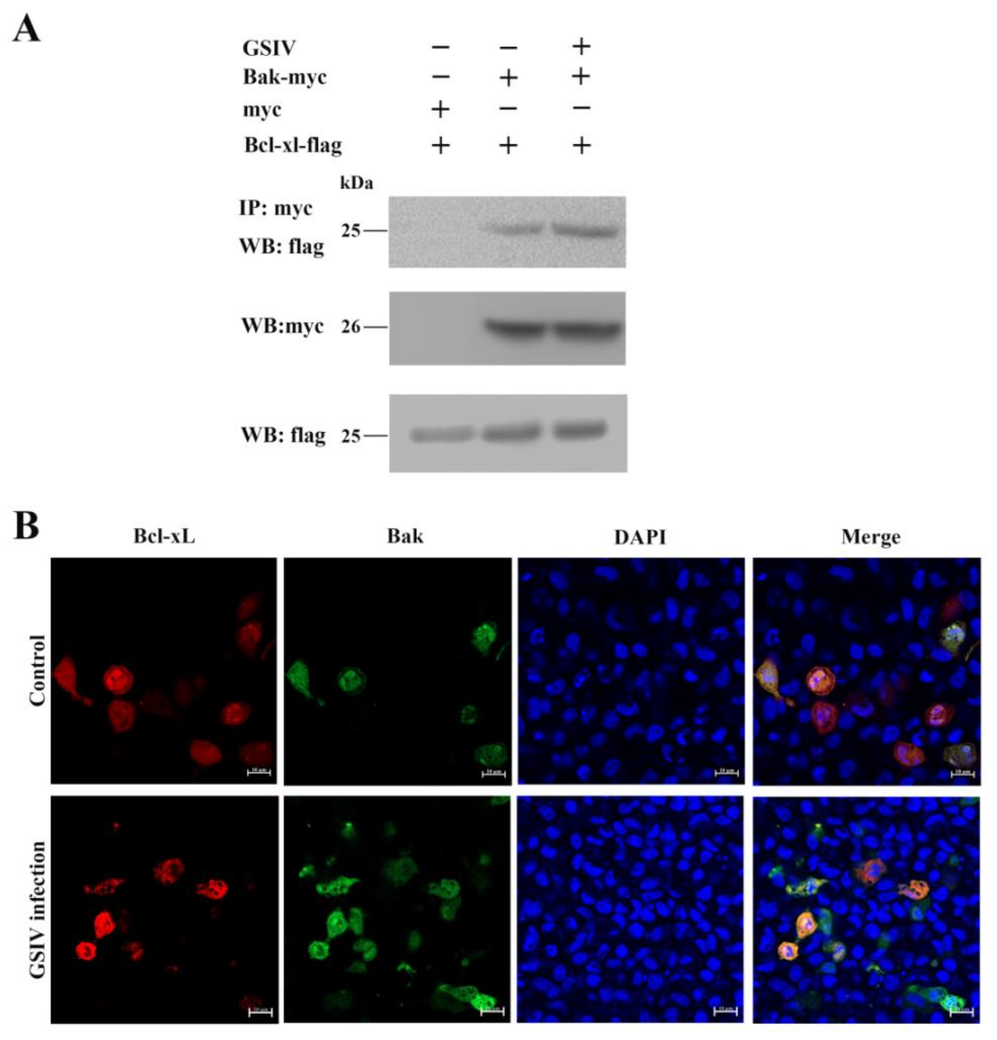Viruses 13 02224 g006