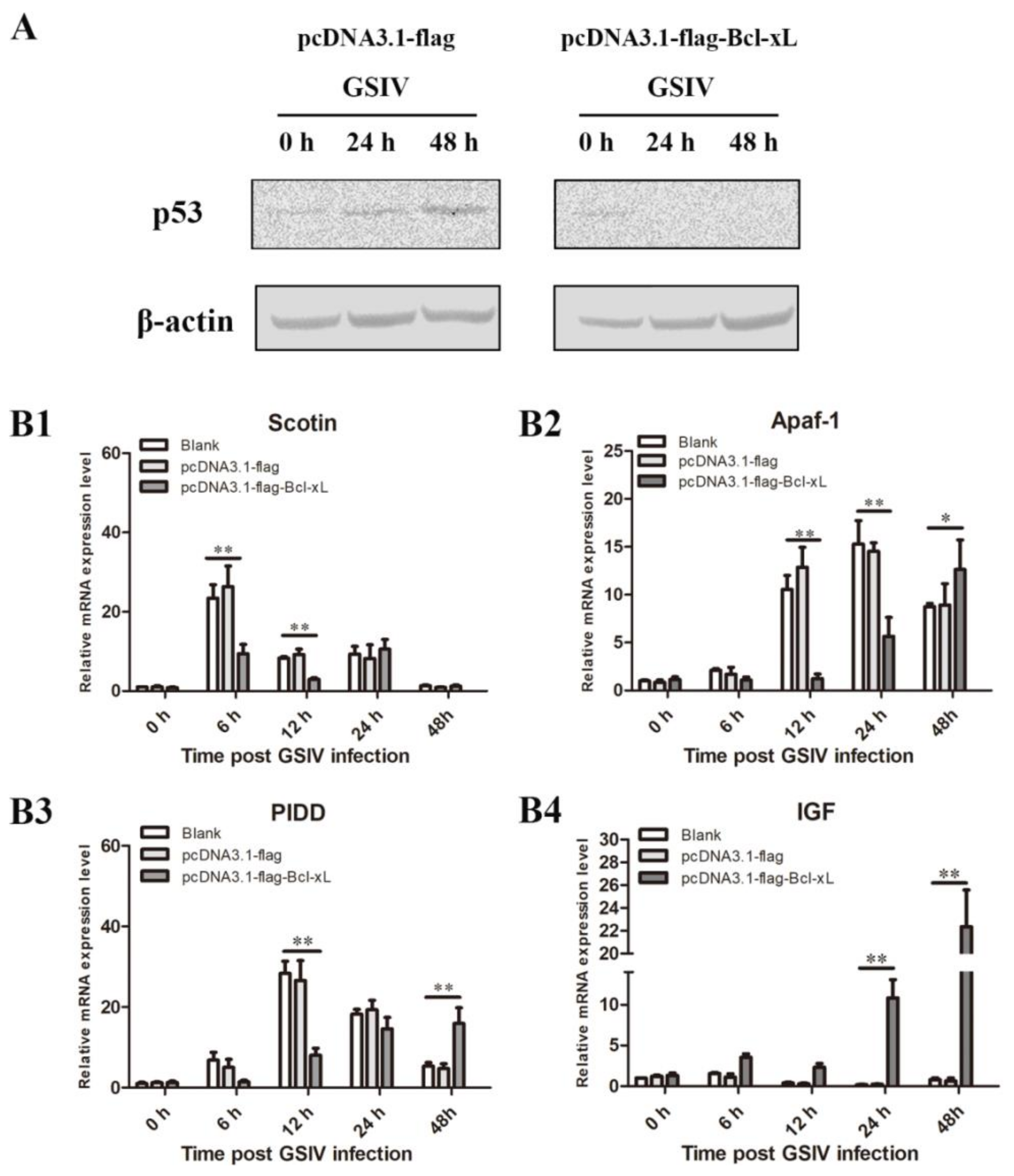 Viruses 13 02224 g007