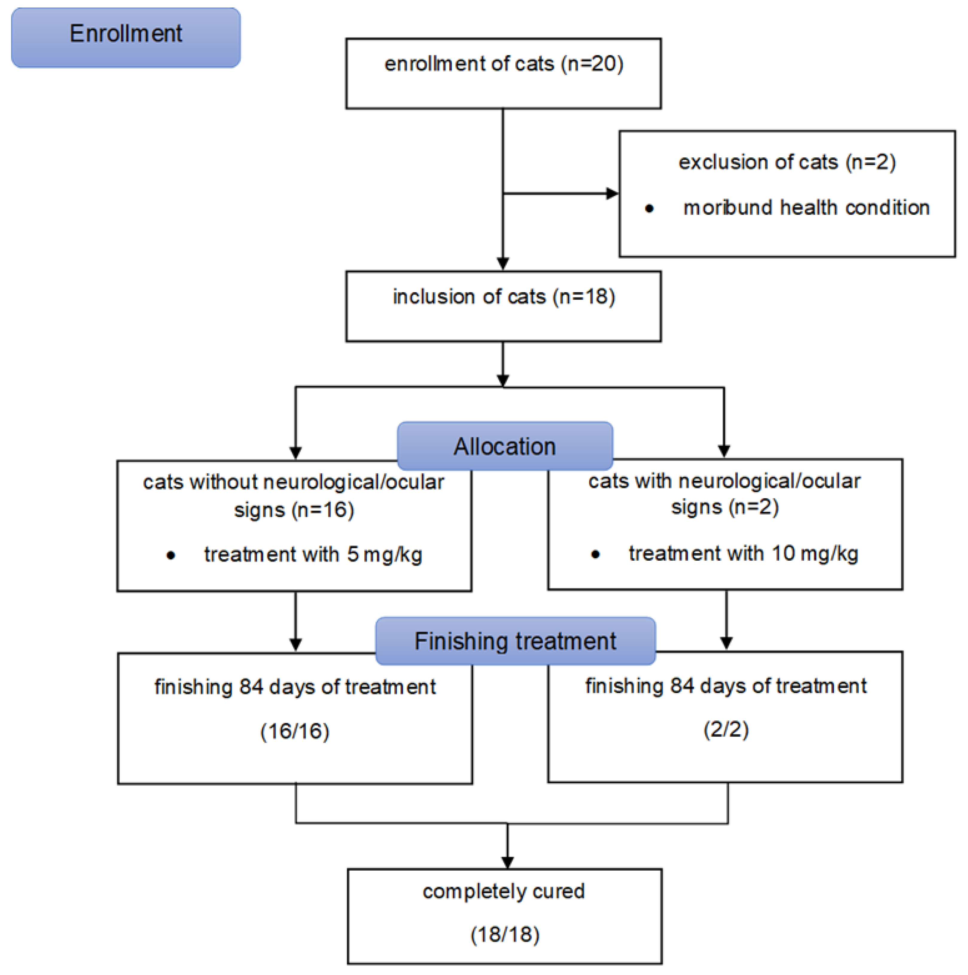 Viruses 13 02228 g001