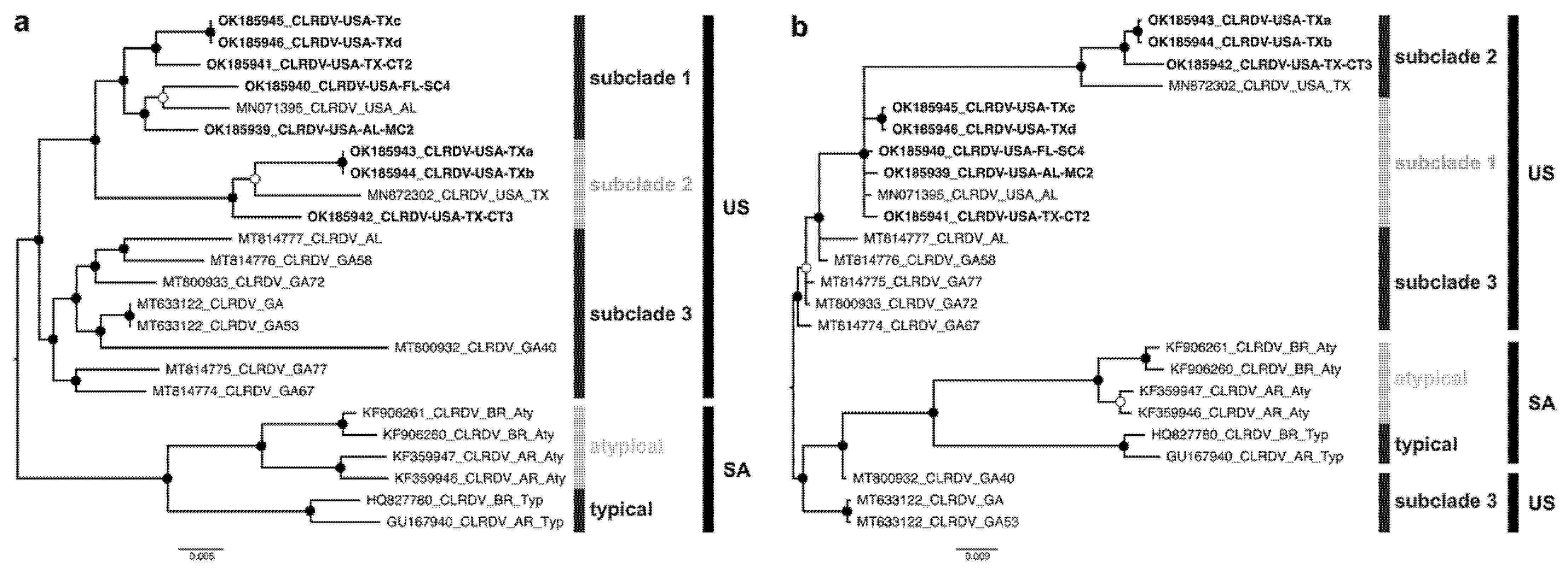 Viruses 13 02230 g001