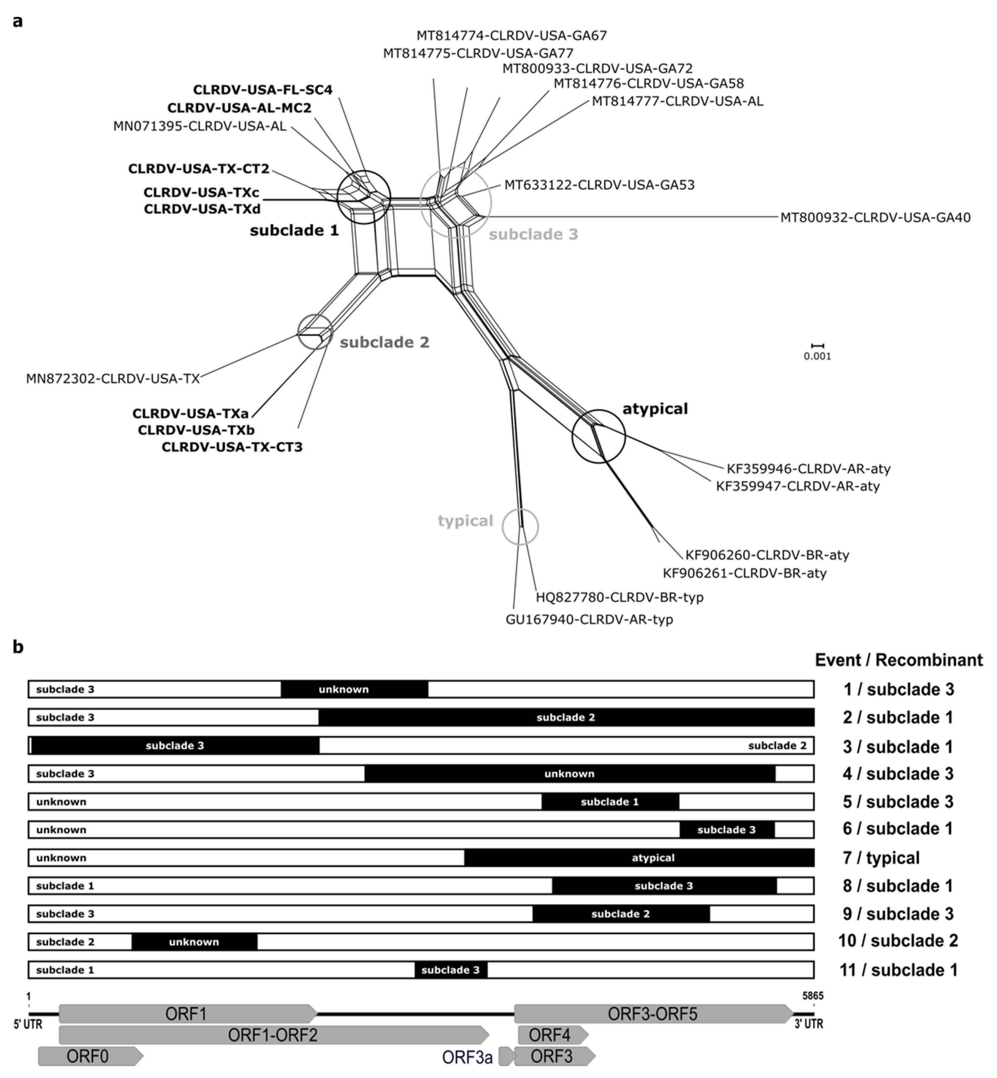 Viruses 13 02230 g002