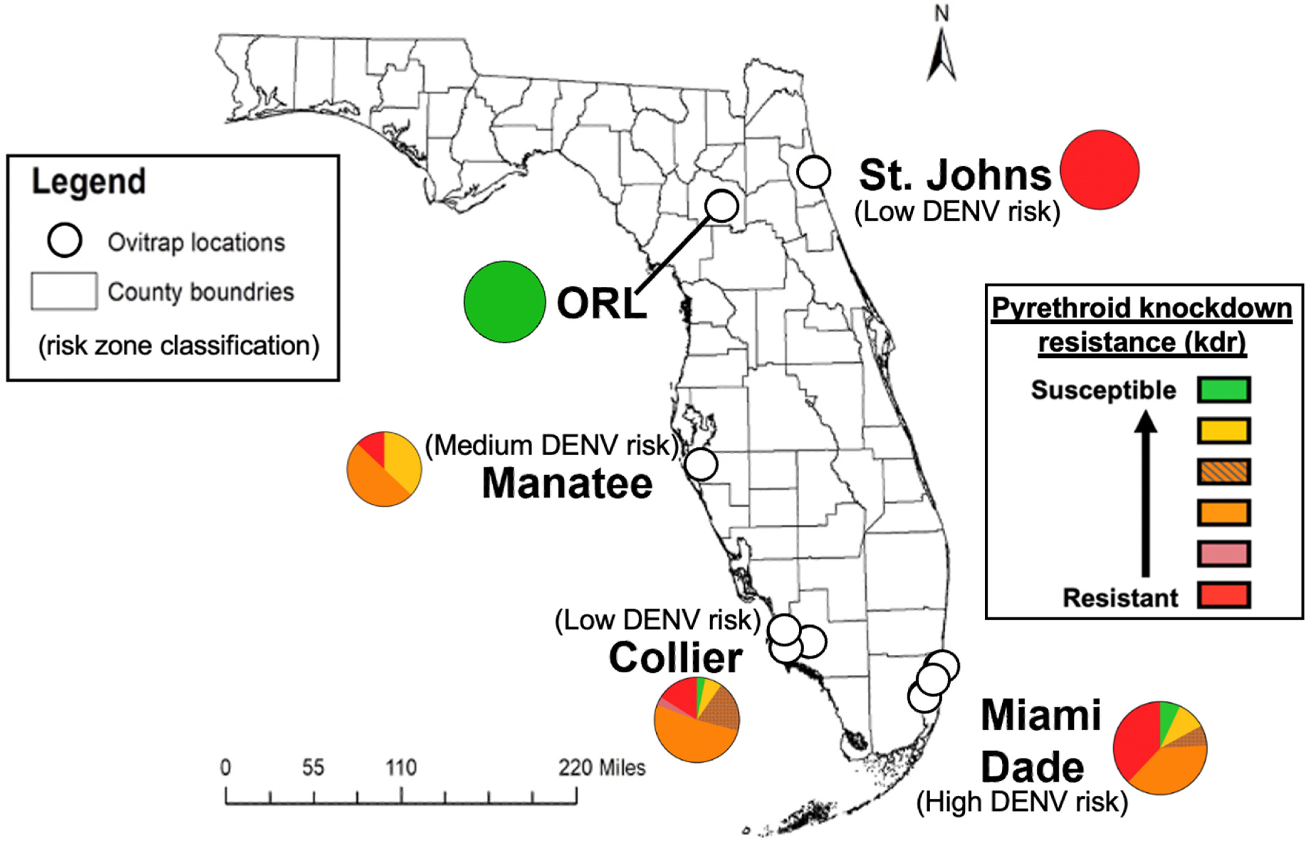 Viruses 13 02232 g001