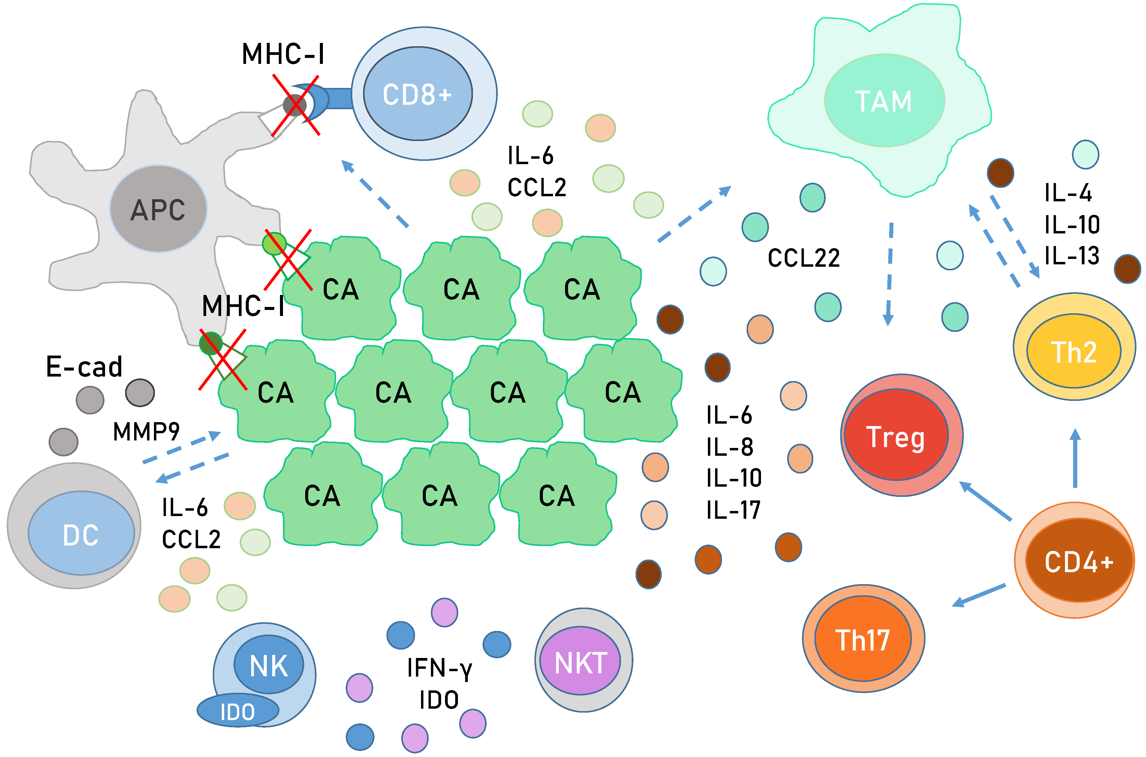 Viruses 13 02234 g005