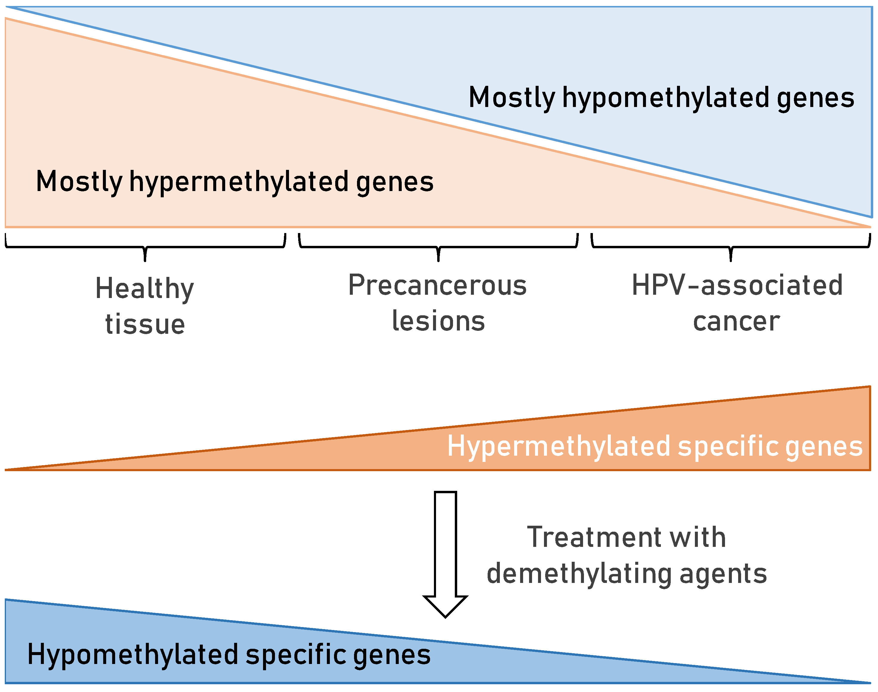Viruses 13 02234 g006