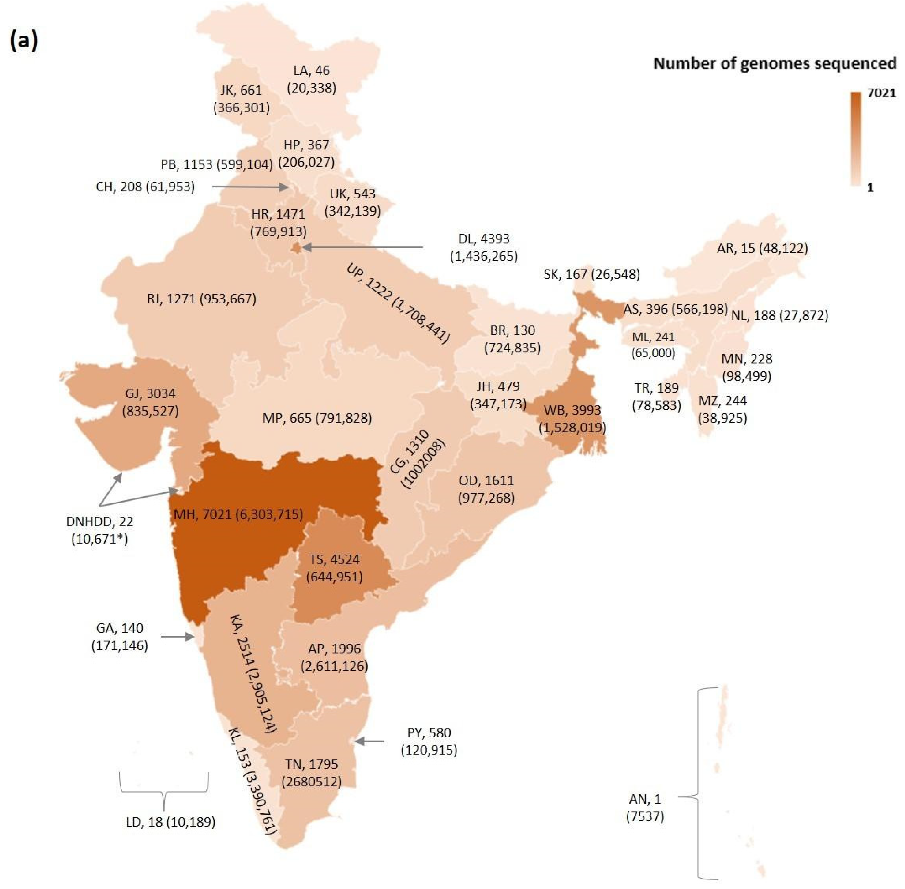 Viruses 13 02238 g001a Viruses 13 02238 g001a