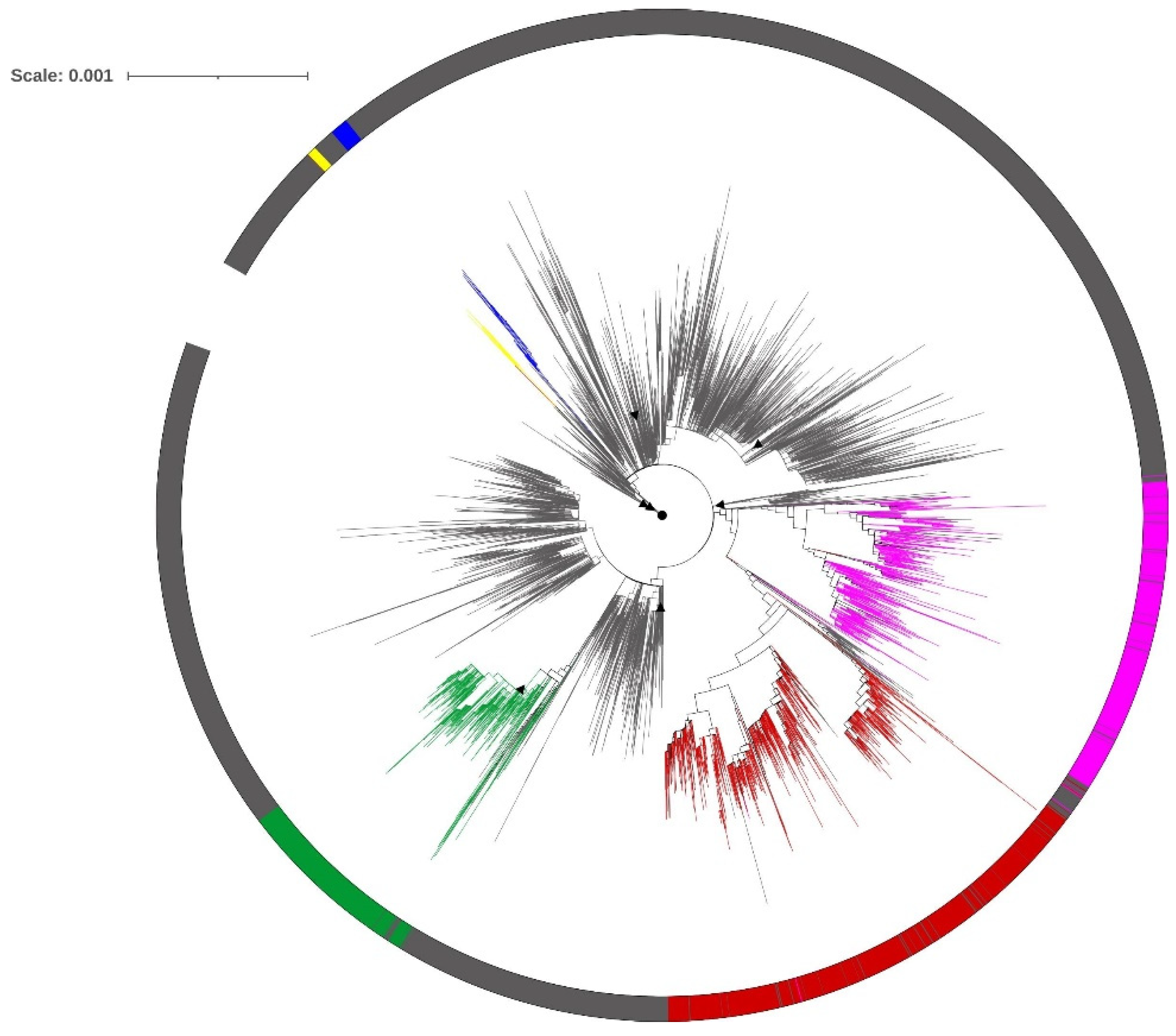 Viruses 13 02238 g003 Viruses 13 02238 g003