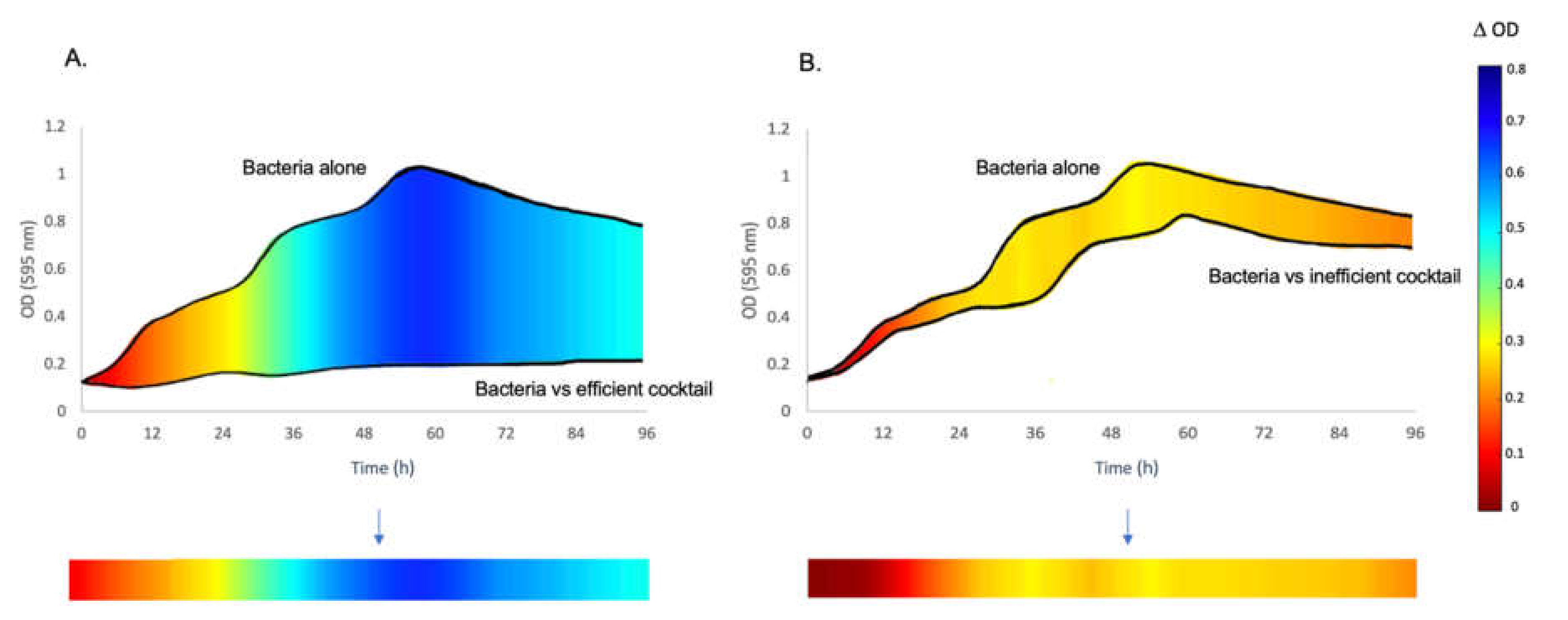 Viruses 13 02241 g001