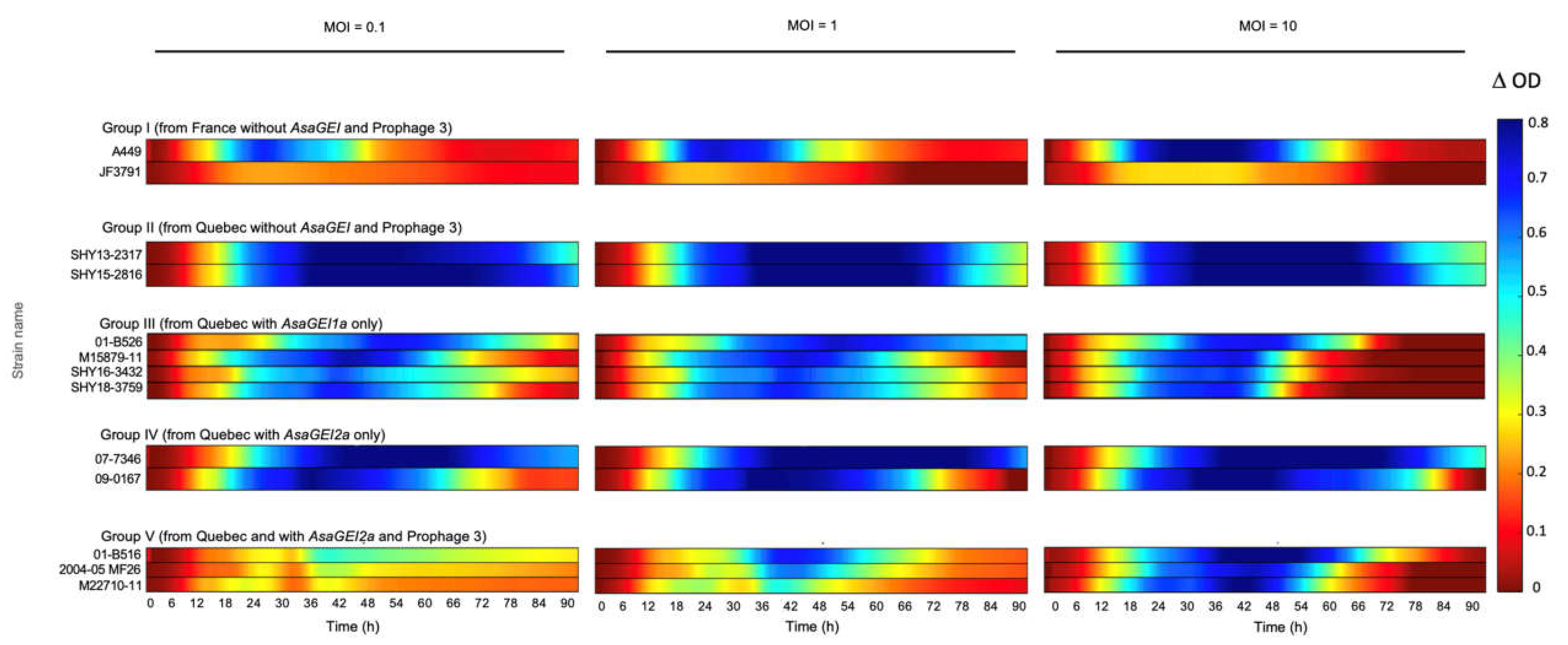 Viruses 13 02241 g003
