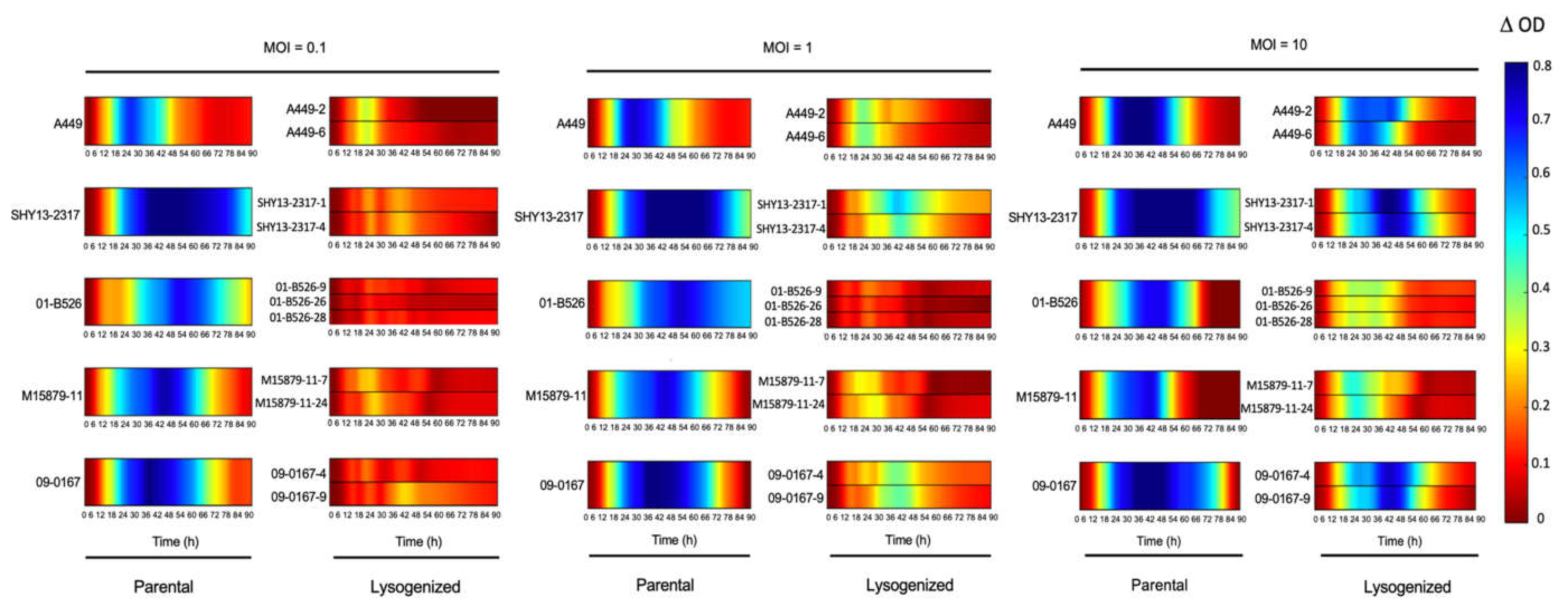 Viruses 13 02241 g005