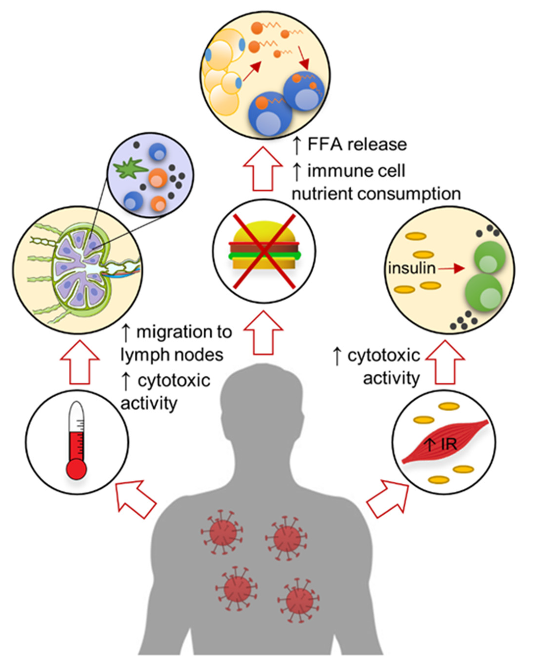 Viruses 13 02245 g002