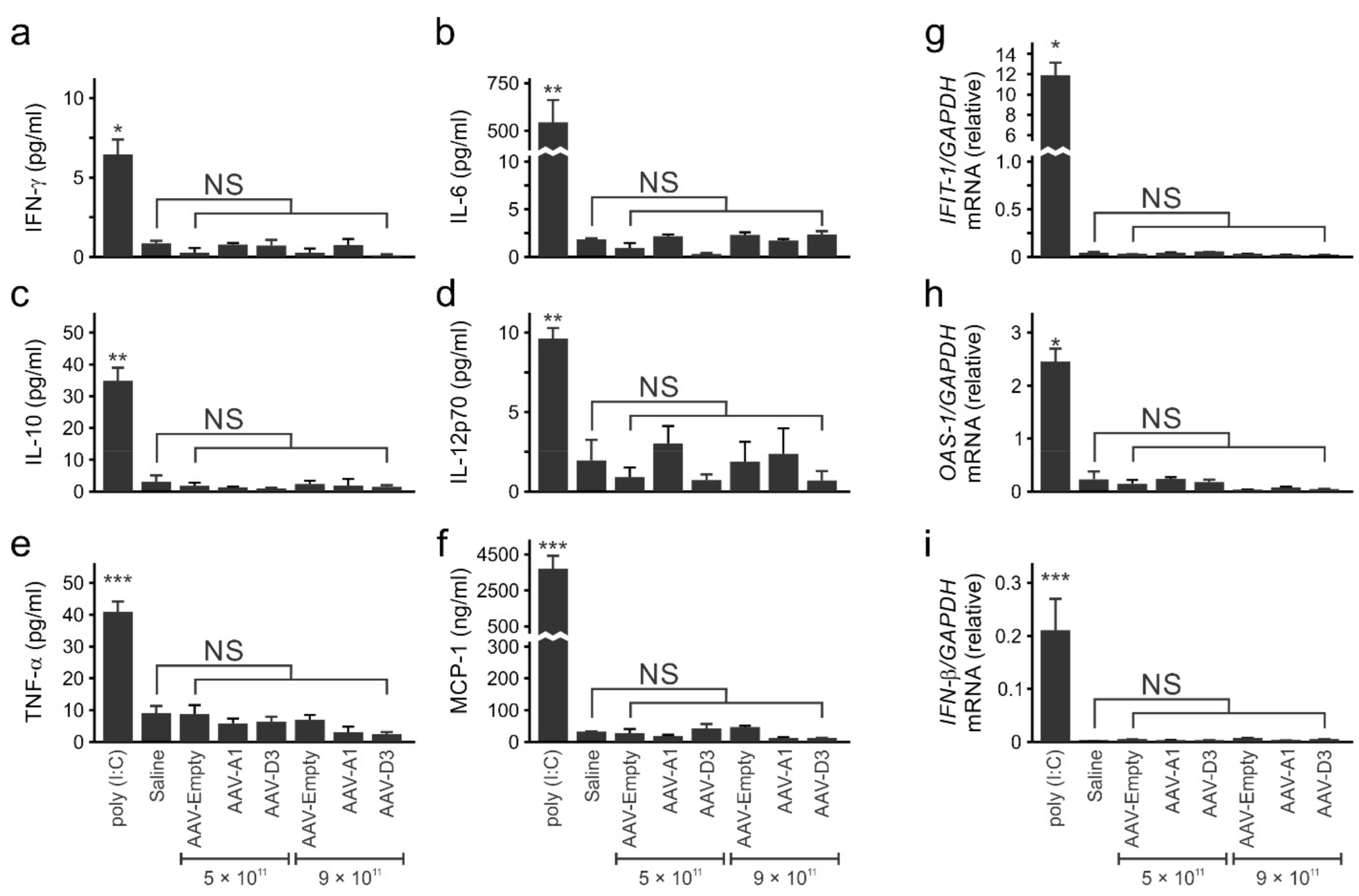 Viruses 13 02247 g002