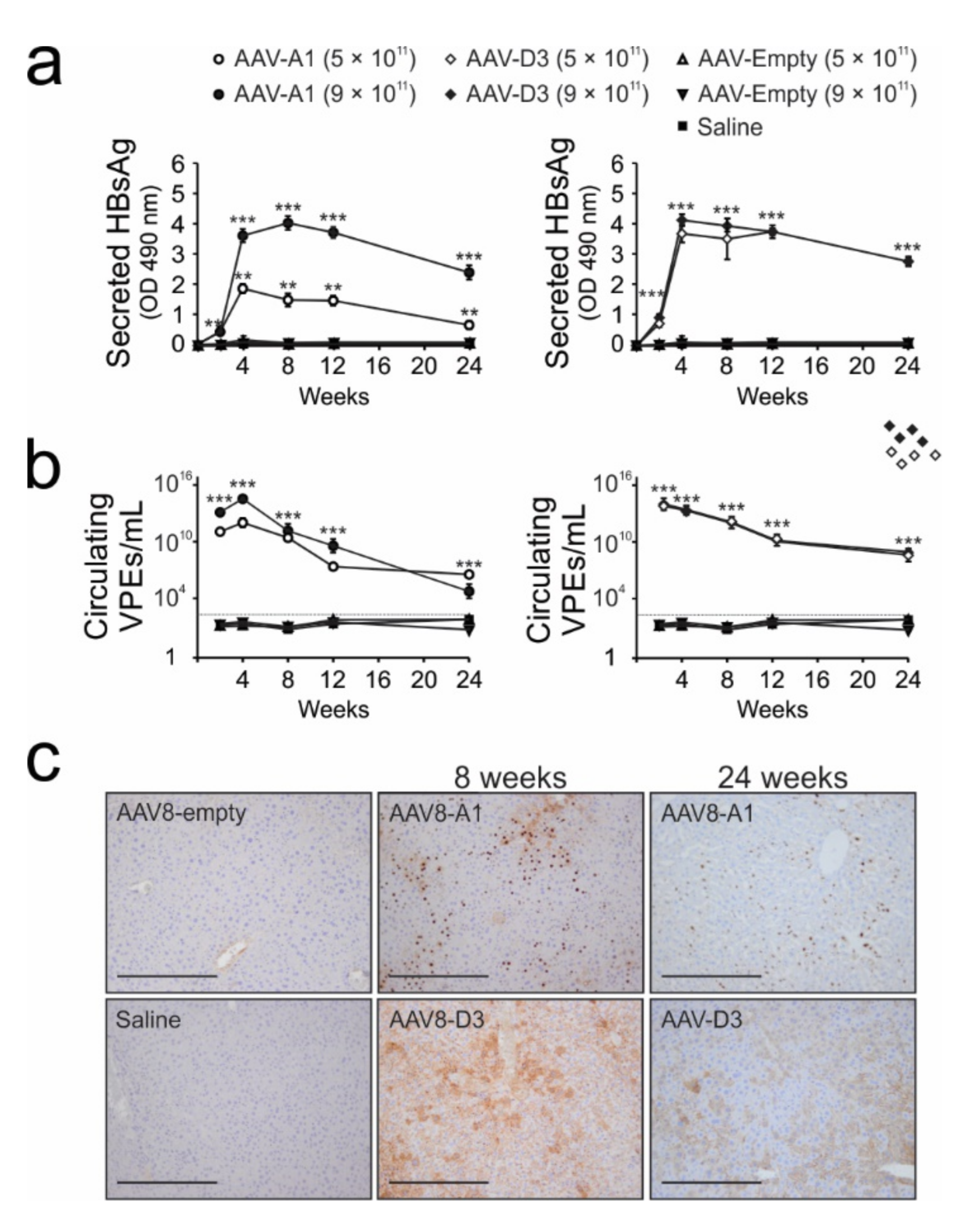 Viruses 13 02247 g003