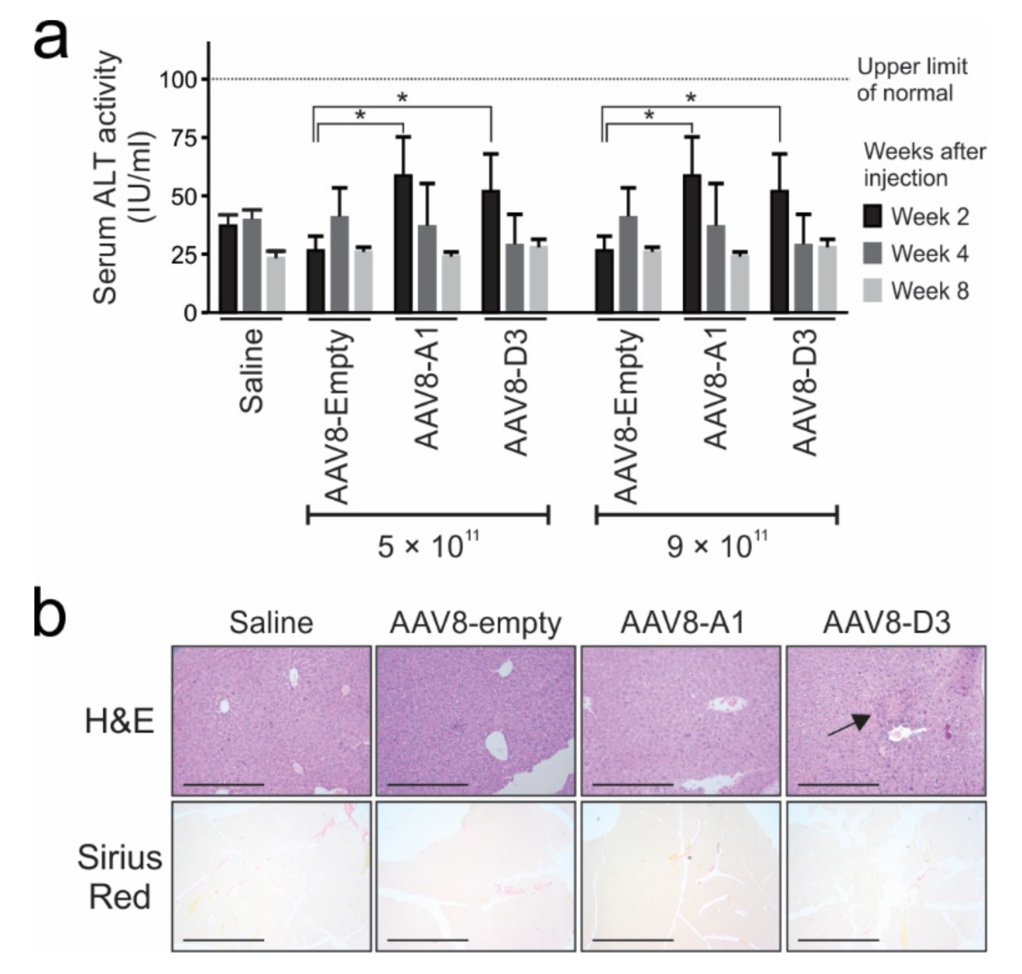 Viruses 13 02247 g005