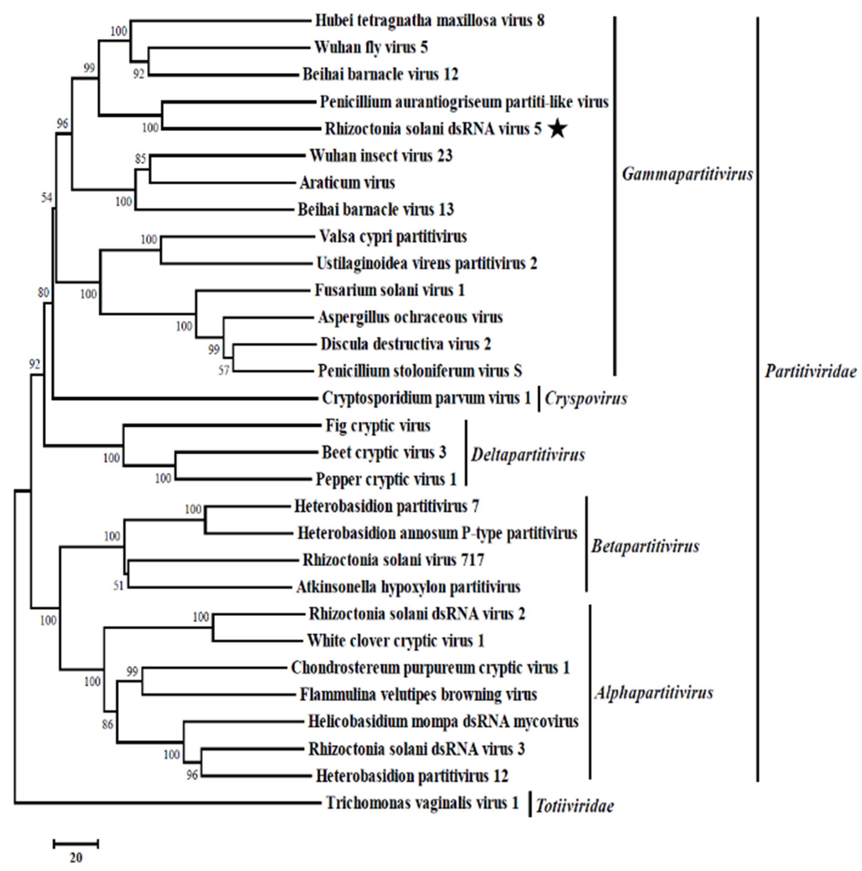 Viruses 13 02254 g003 Viruses 13 02254 g003
